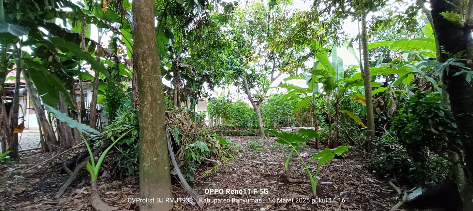 Dijual Tanah Strategis di Jalan Raya Kembaran view 2