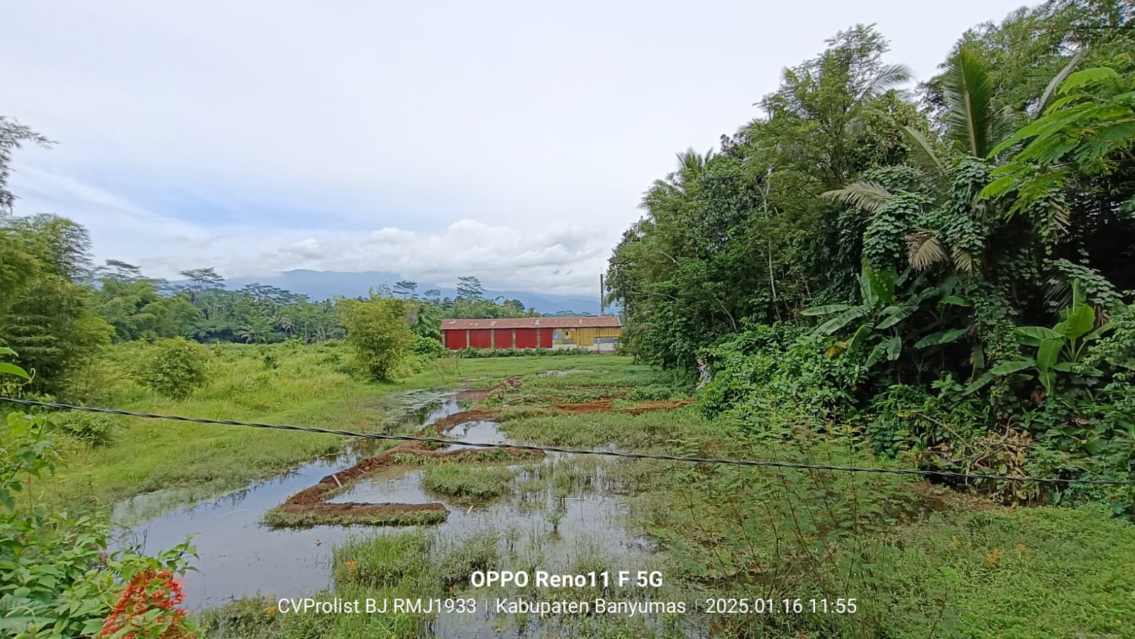  Dijual Tanah Di Cilongok 1 Menit ke Pasar Cilongok view 1