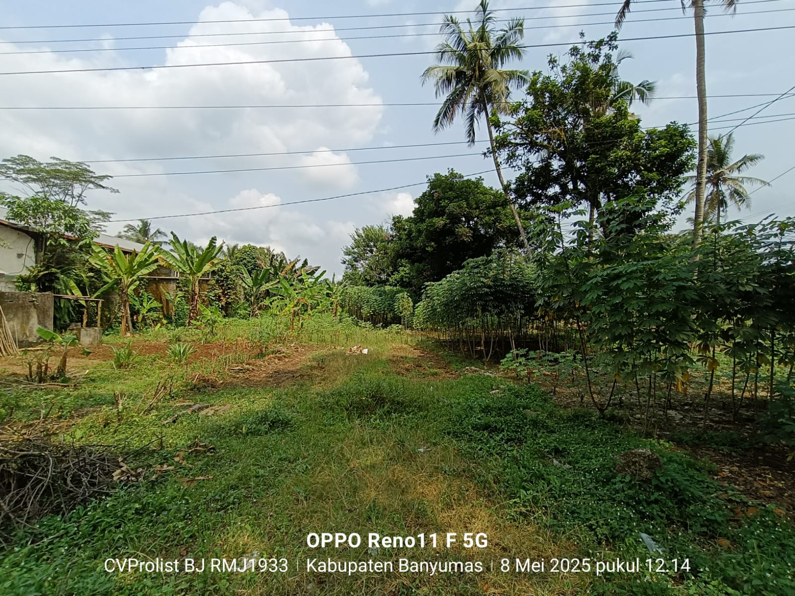 Dijual Tanah Dipinggir Jalan Provinsi Cilongok Ajibarang view 1