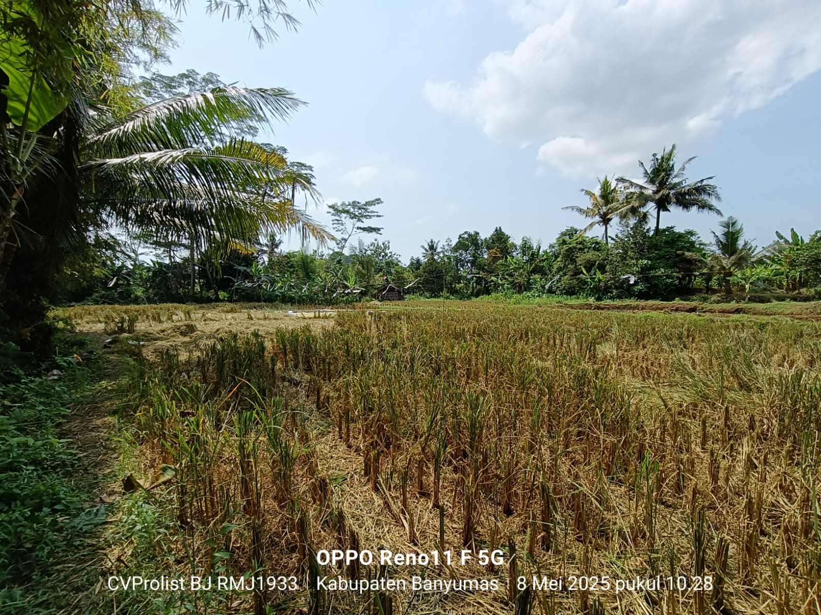 Dijual Tanah Komplek Perumahan Di Purwokerto Barat view 2