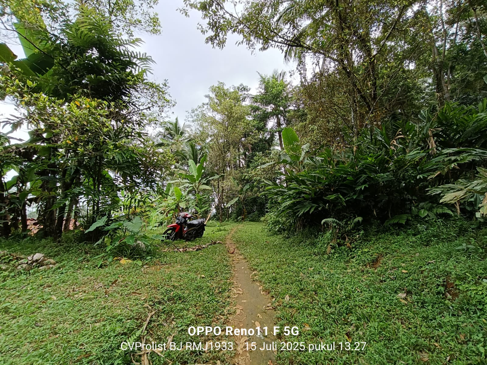 Dijual Tanah Di Kaki Gunung Slamet, Lingkungan Asri Dan Udara Masih Segar view 1