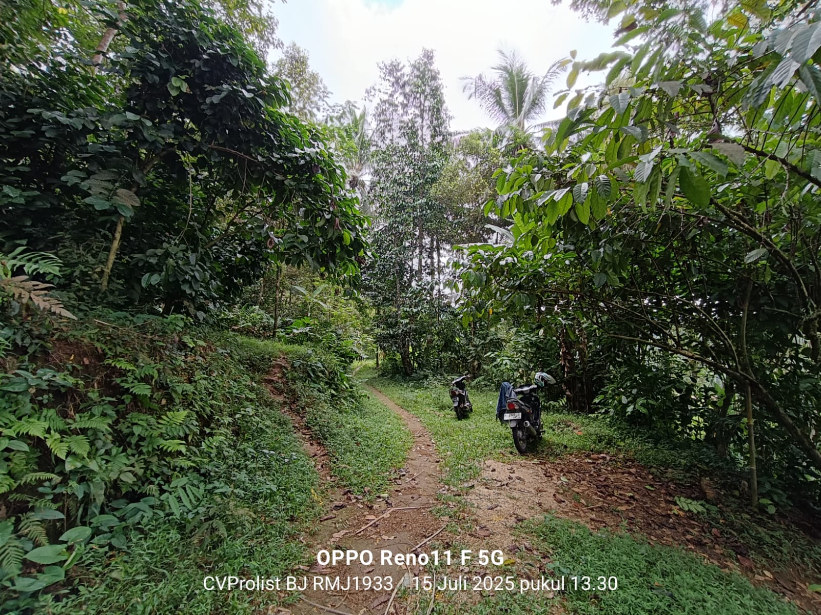  Dijual Tanah Di Kaki Gunung Slamet,  Lingkungan Asri Dan Udara Masih Segar  view 2