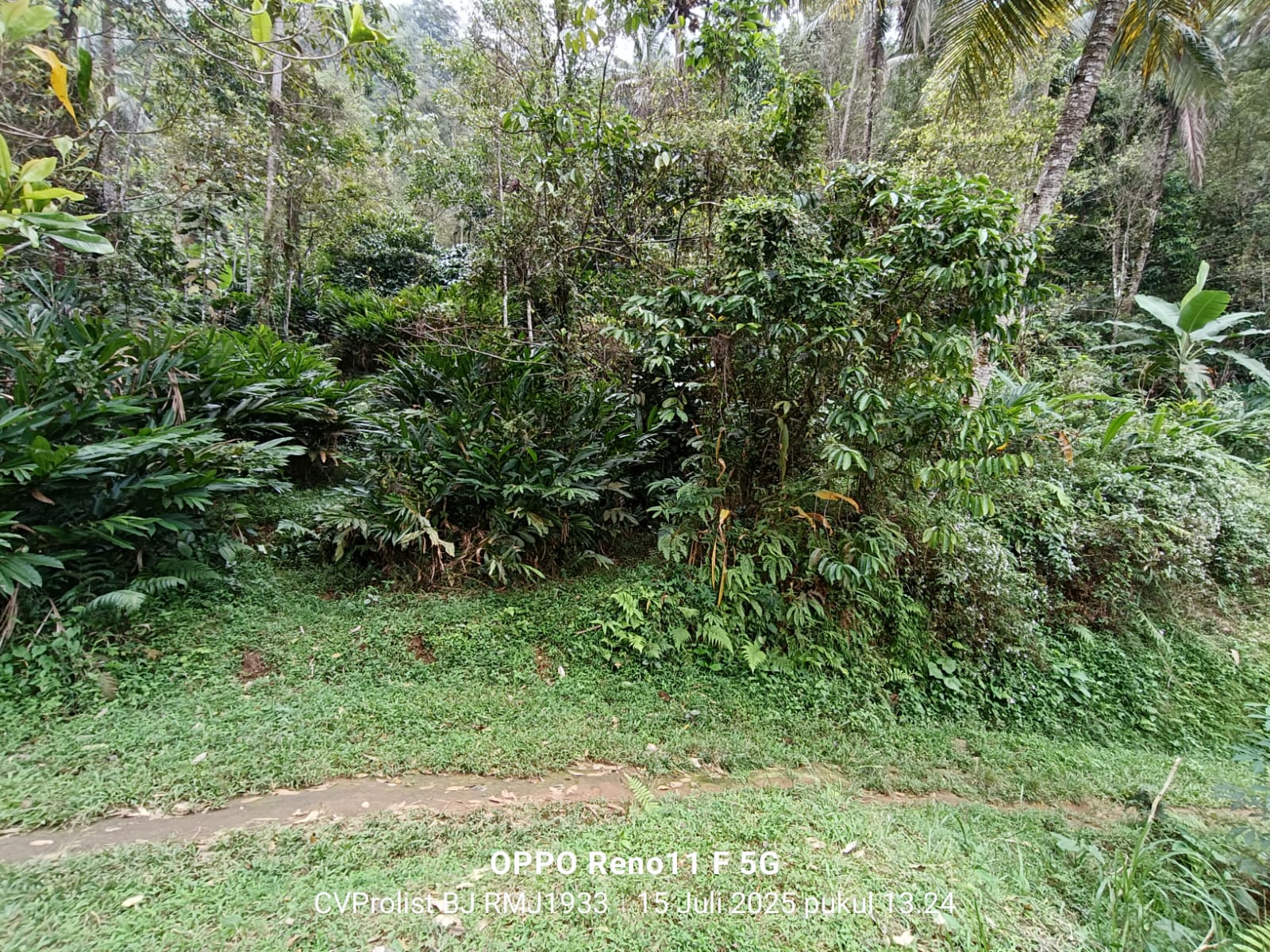 Dijual Tanah Di Kaki Gunung Slamet, Lingkungan Asri Dan Udara Masih Segar view 3