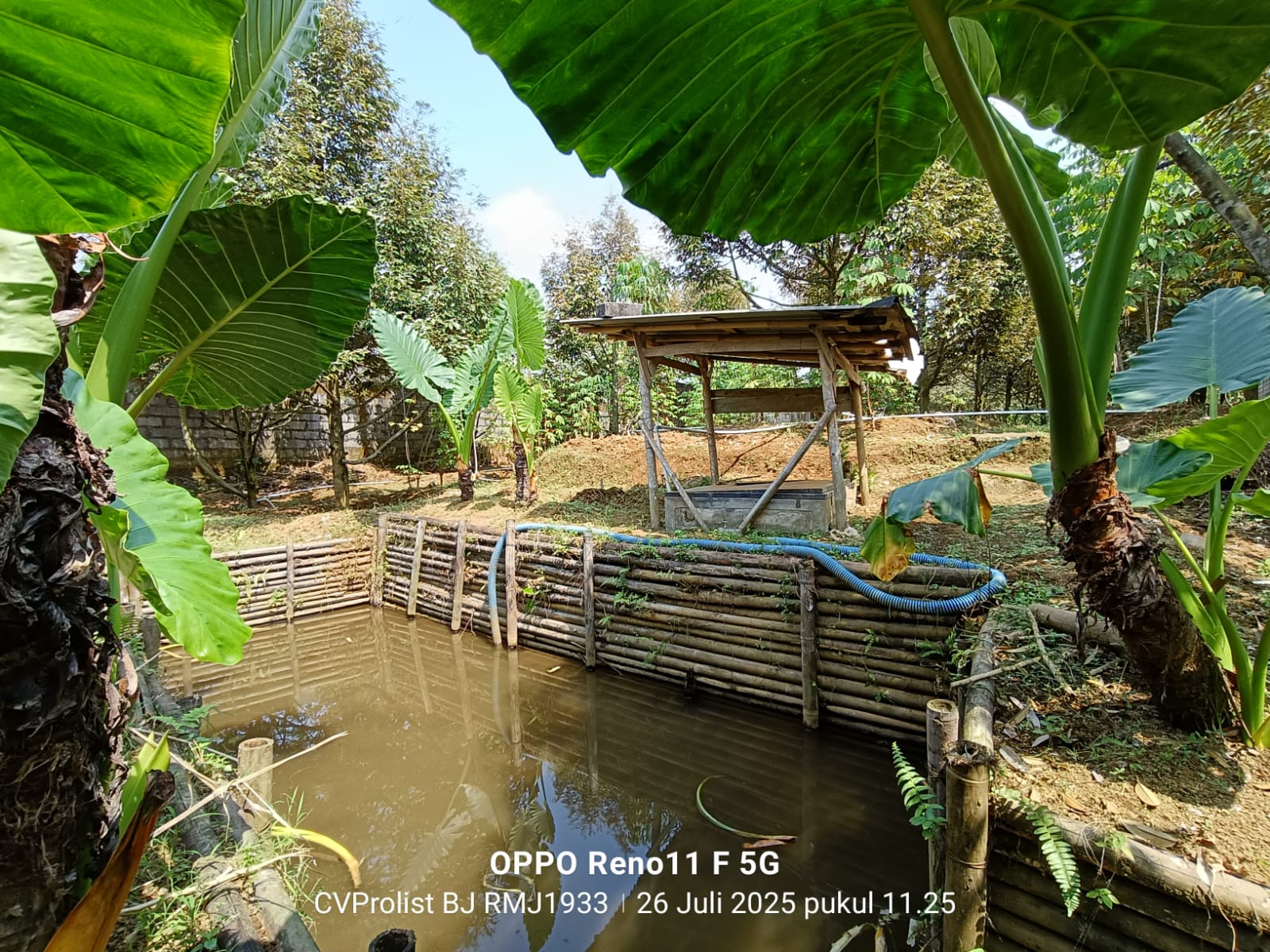 Dijual Kebun Durian Usia.4 Tahun 1 menit ke RM Joglo Banaran Sumbang view 3