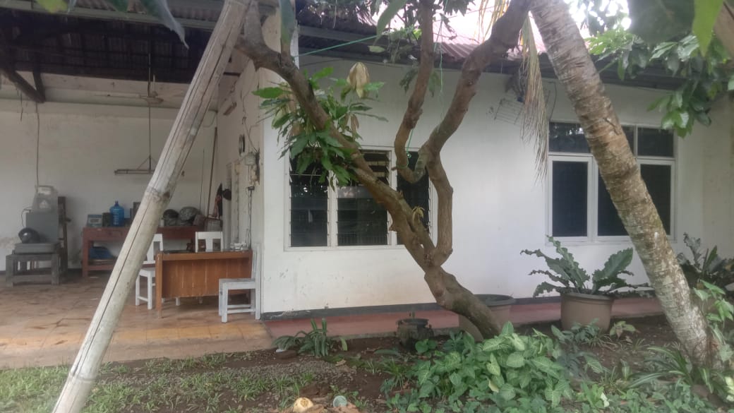 Dijual Rumah di kota lama Banyumas dengan halaman luas cocok untuk usaha view 2