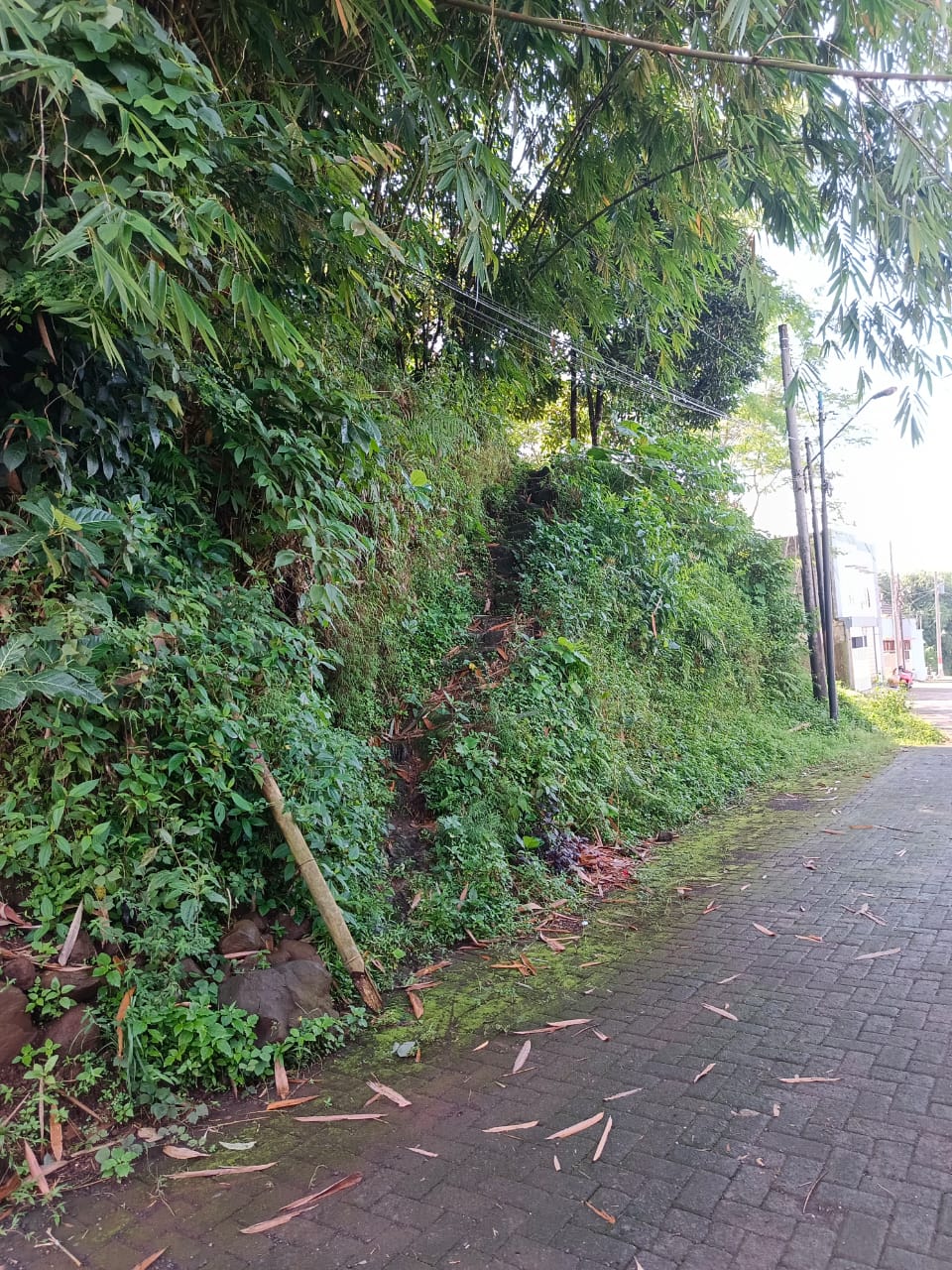 Dijual Tanah Strategis – SHM di Karanggintung, Purwokerto view 3