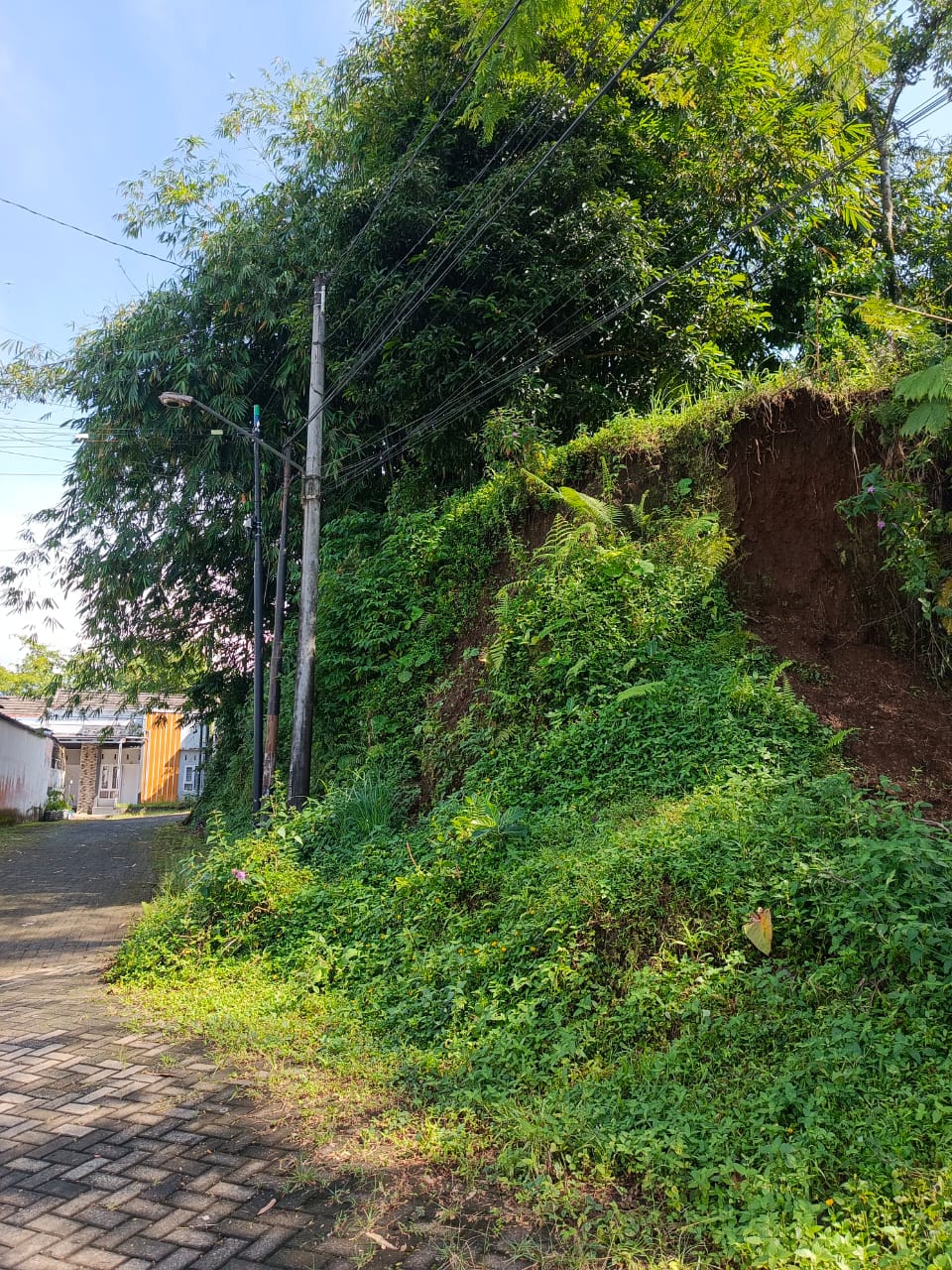 Dijual Tanah Strategis – SHM di Karanggintung, Purwokerto view 4