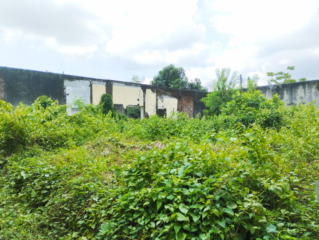Properti Dijual Tanah Bonus Bangunan Tengah Kota Purwokerto Strategis Lebar Bagus view 5