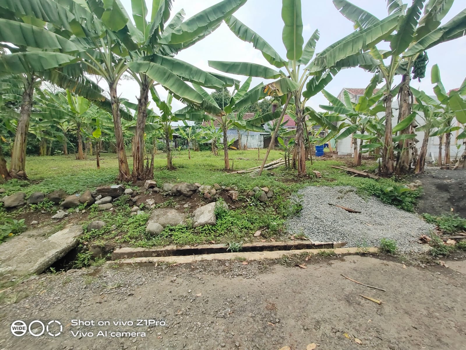 Tanah Kavling Murah Dekat SMA 3 Purwokerto - Pasir view 2