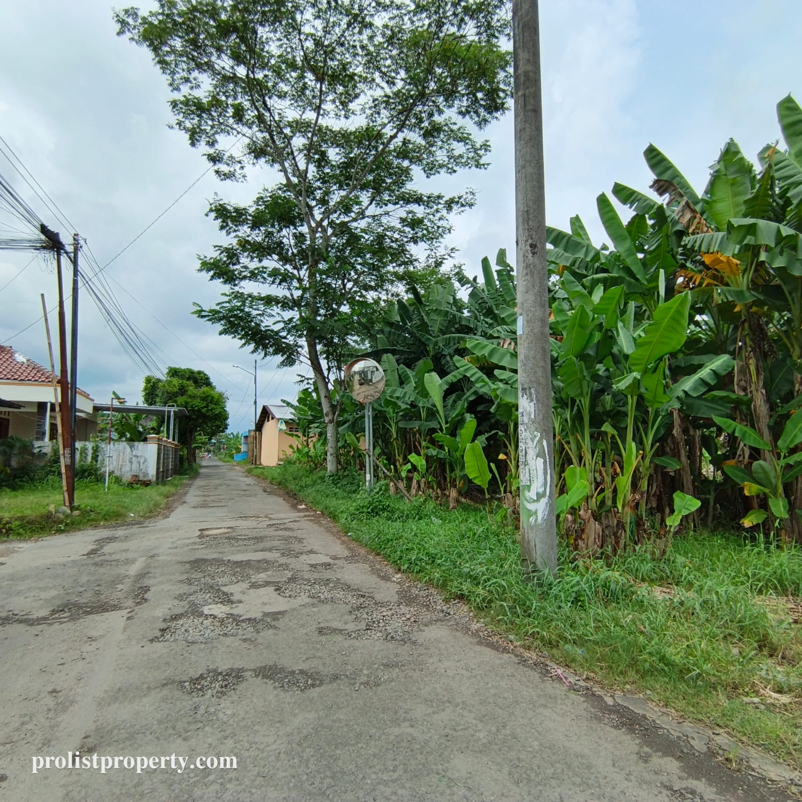 Jual Tanah Dibawah Harga Pasar Cocok Untuk Cluster Dekat RS Margono view 1