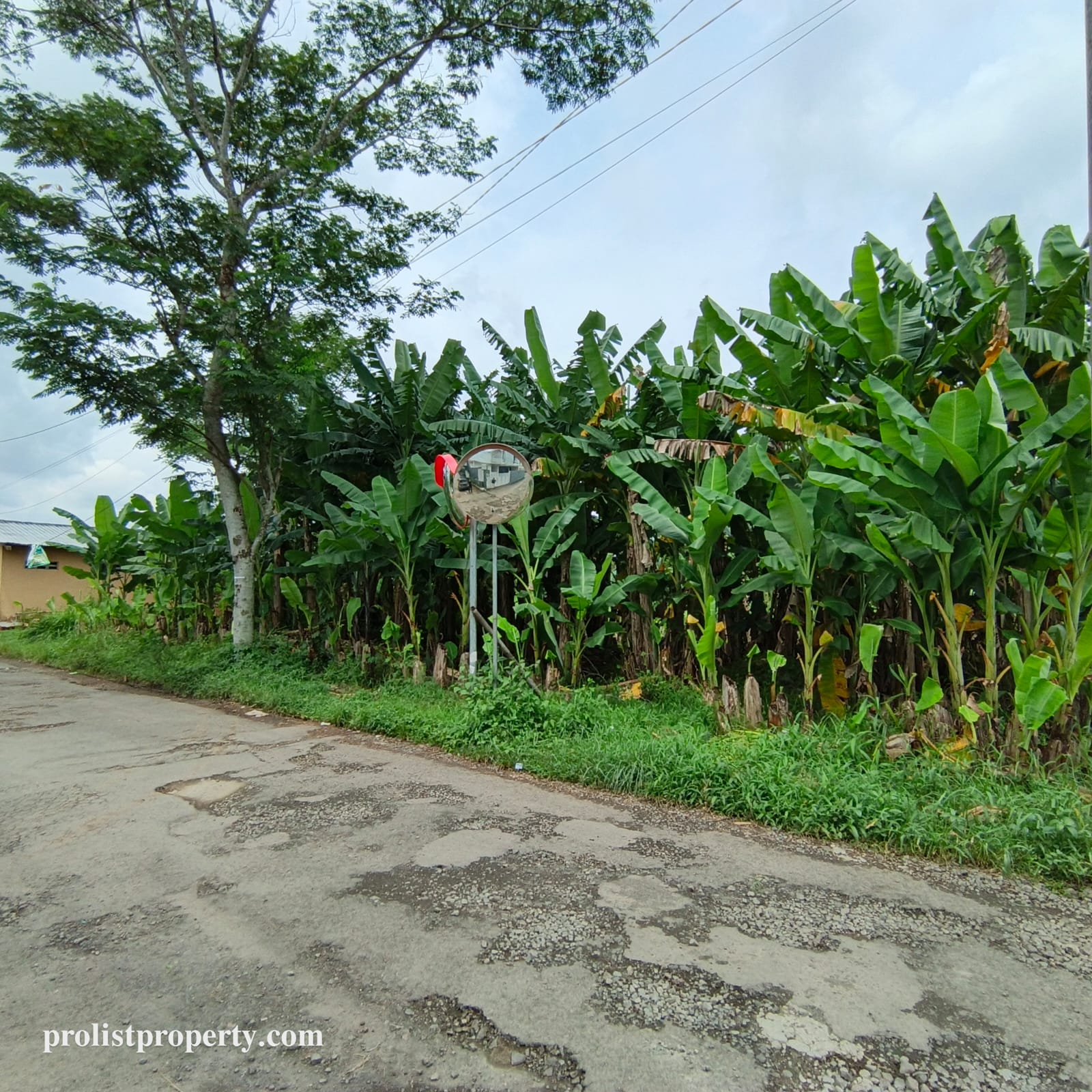 Jual Tanah Dibawah Harga Pasar Cocok Untuk Cluster Dekat RS Margono view 3