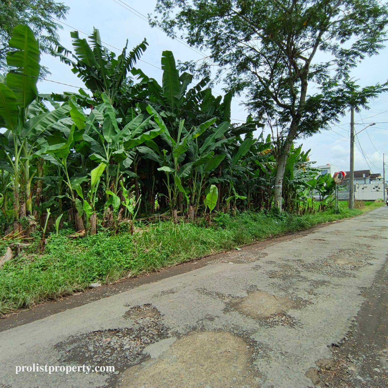 Jual Tanah Dibawah Harga Pasar Cocok Untuk Cluster Dekat RS Margono view 4