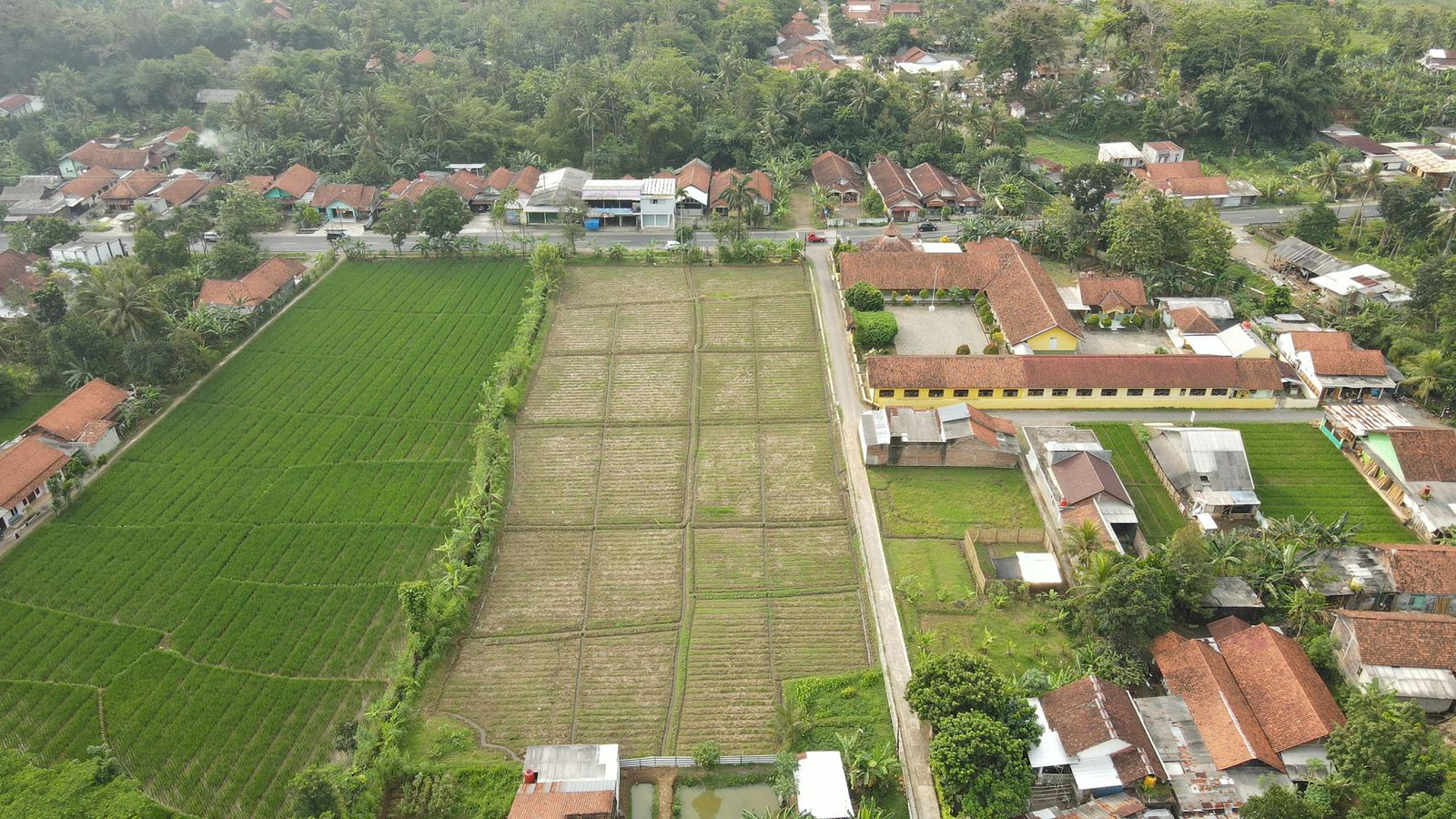 Dijual Tanah Sawah Cocok untuk Investasi, Pinggir Jalan Nasional Somagede Banyumas view 2