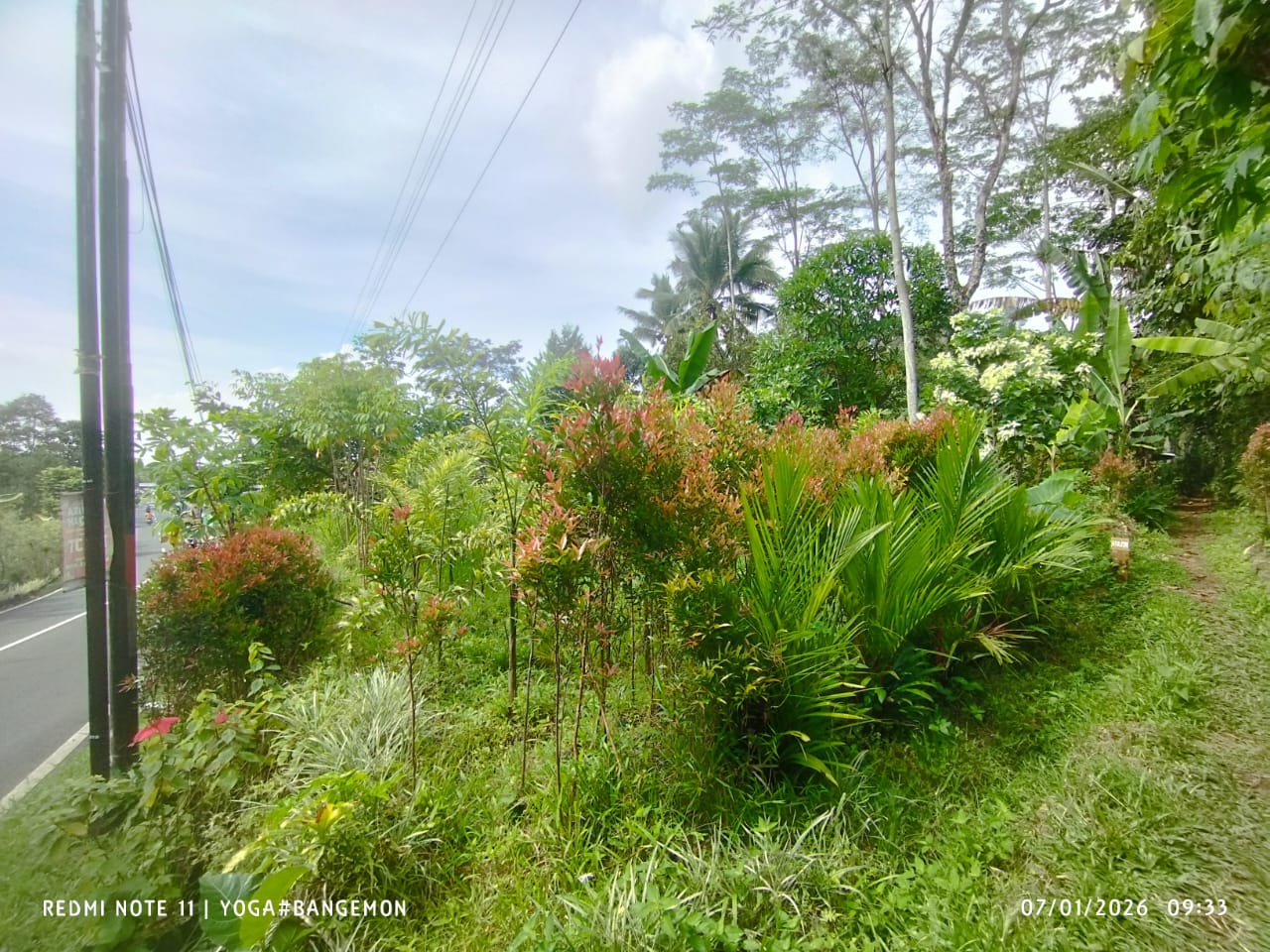 Dijual Tanah Pekarangan Lebar Muka 30 Meter, Jalan Baturraden Barat view 5