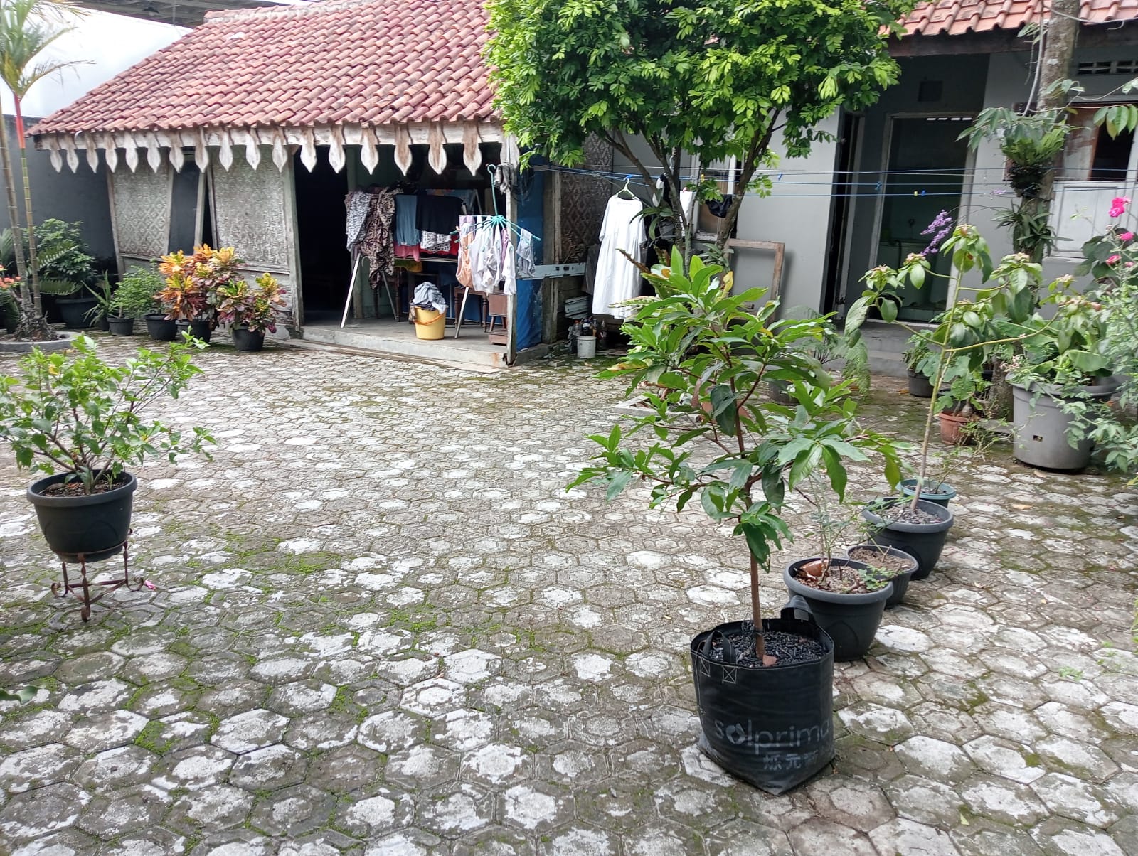 Dijual Rumah Strategis 1 Menit ke SMPN 1 Purwokerto - Sugiono view 7