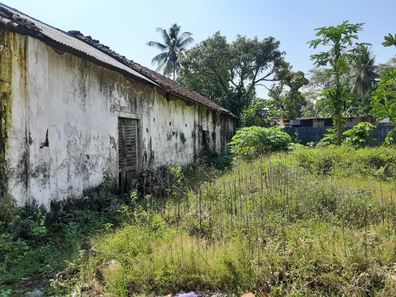  Dijual Tanah Strategis luas Bahu jalan Lintas Provinsi Purwareja- Klampok  view 5
