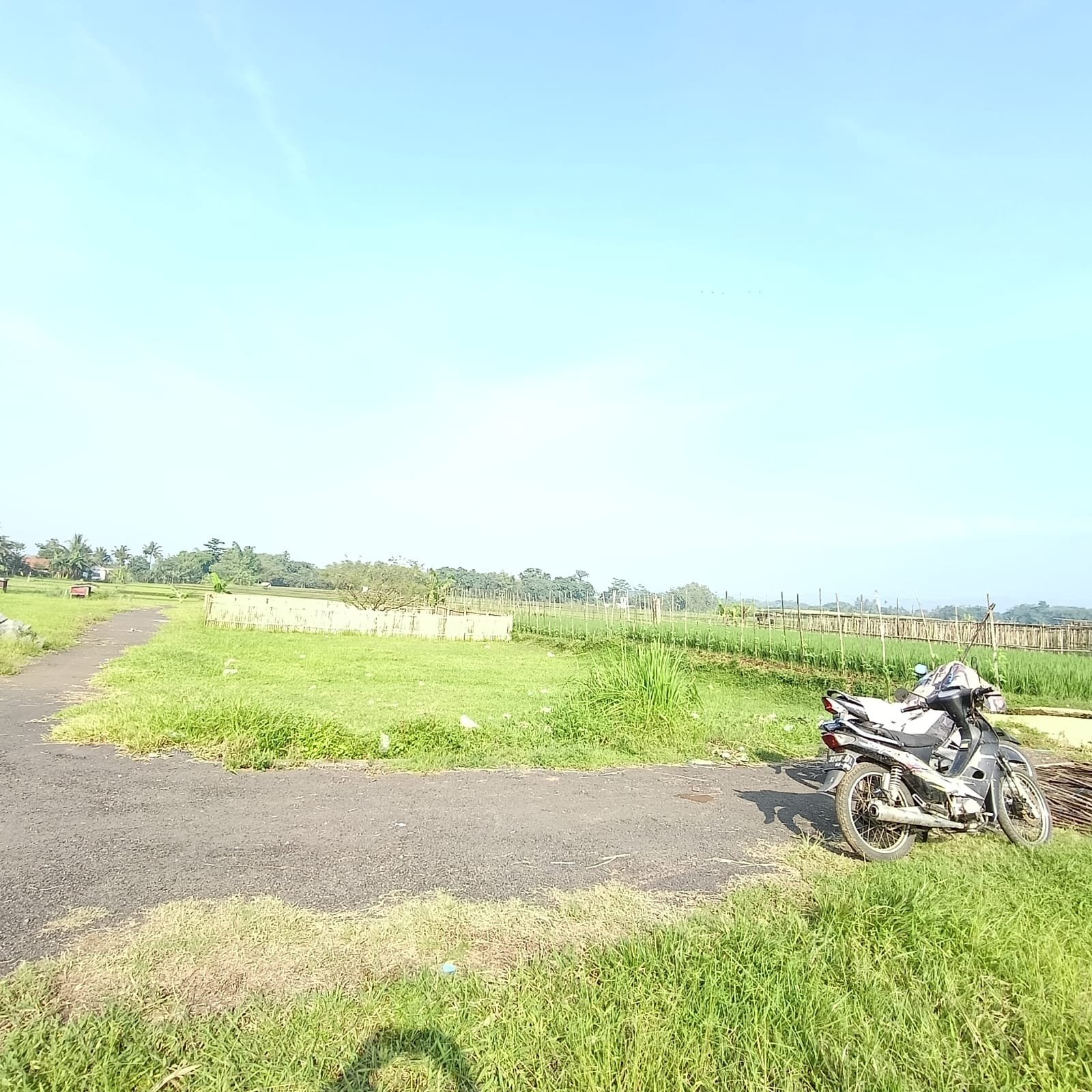 Dijual tanah kosong, lokasi di lereng gunung dengan view Gunung Slamet - Tambaksogra view 1