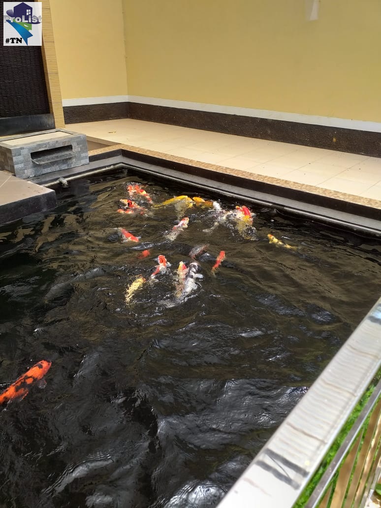   DIJUAL RUMAH MEWAH LOKASI JL RAYA BATURADEN view 6