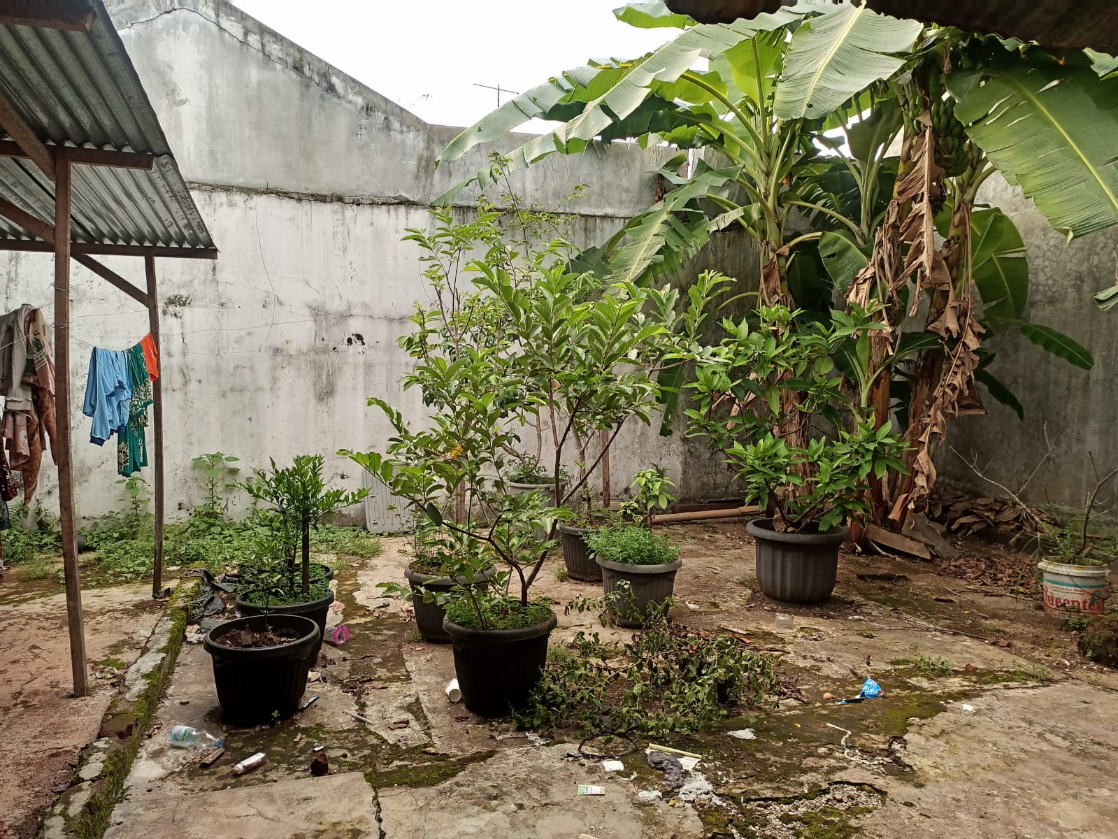 Dijual Cepat Rumah Dalam Kota Purwokerto view 5