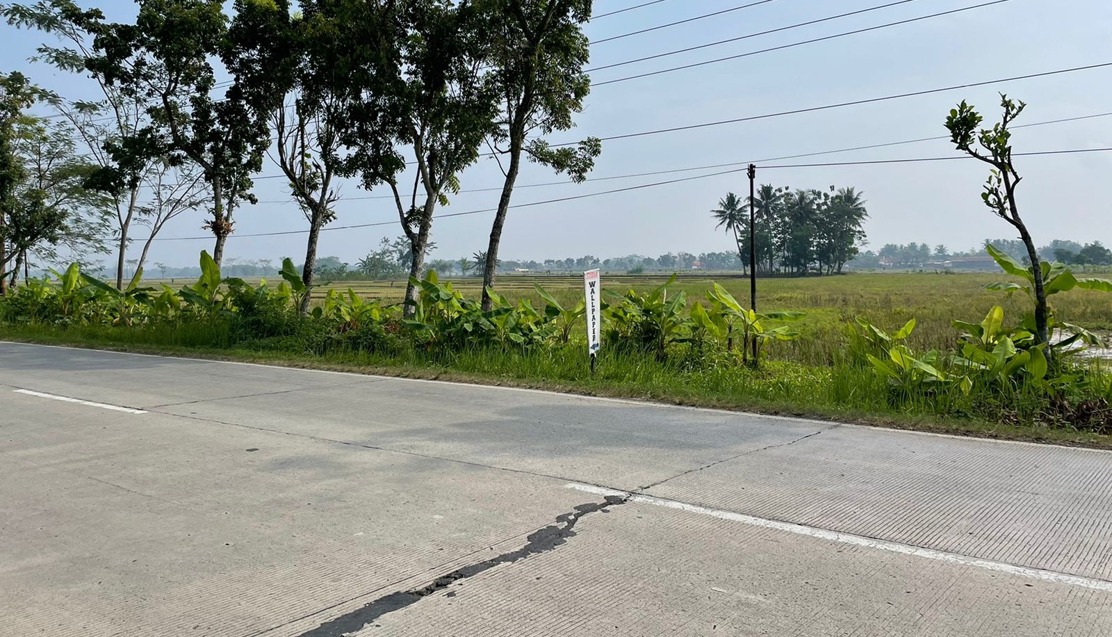 Dijual Tanah Luas Di Jalan Raya Provinsi Purbalingga Banjarnegara view 1