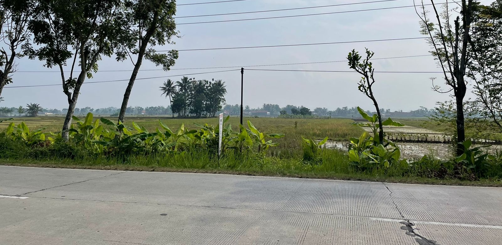 Dijual Tanah Luas Di Jalan Raya Provinsi Purbalingga Banjarnegara view 2