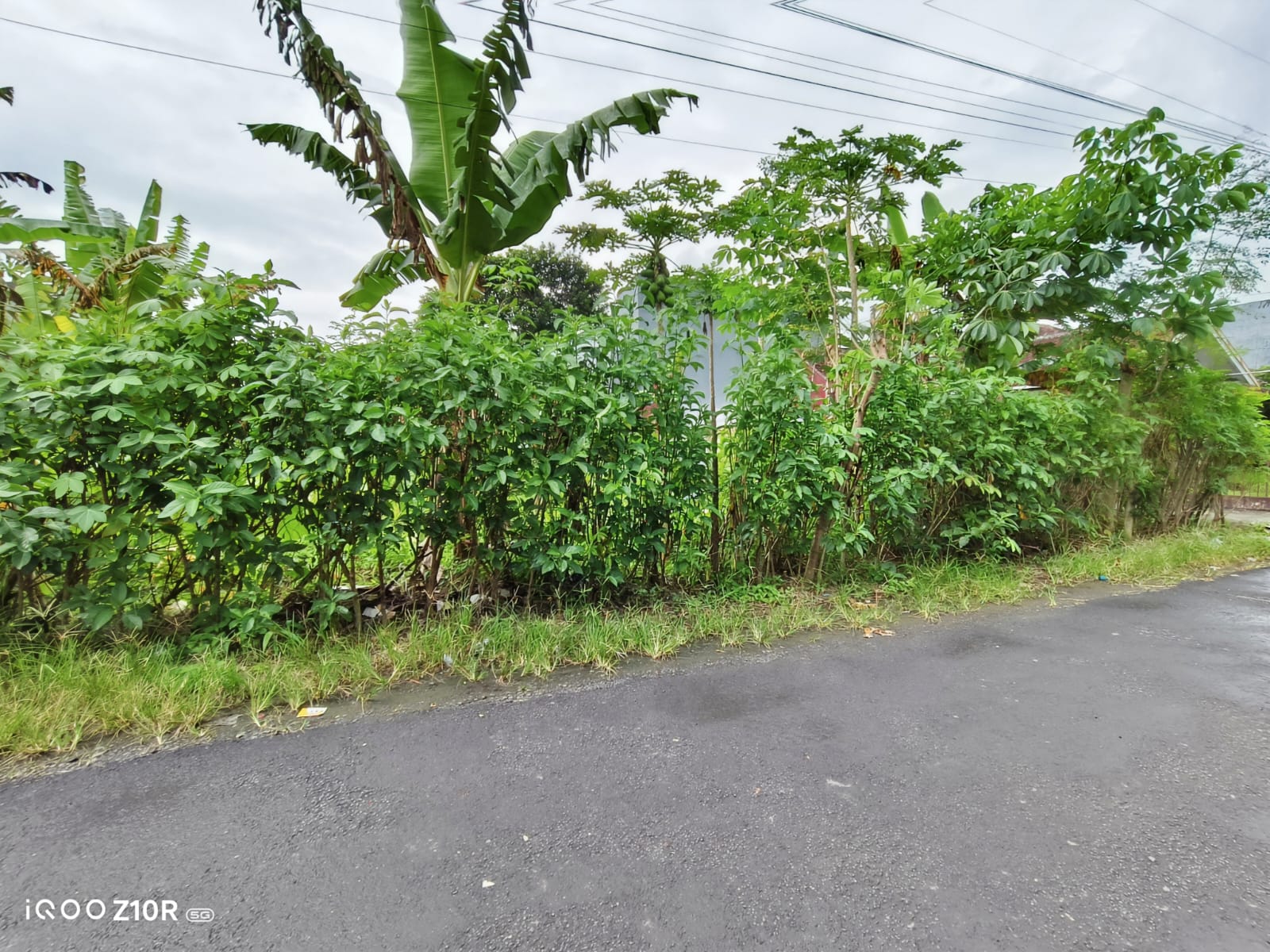 Tanah Kavling Luas Area Dukuhwaluh - UMP view 1