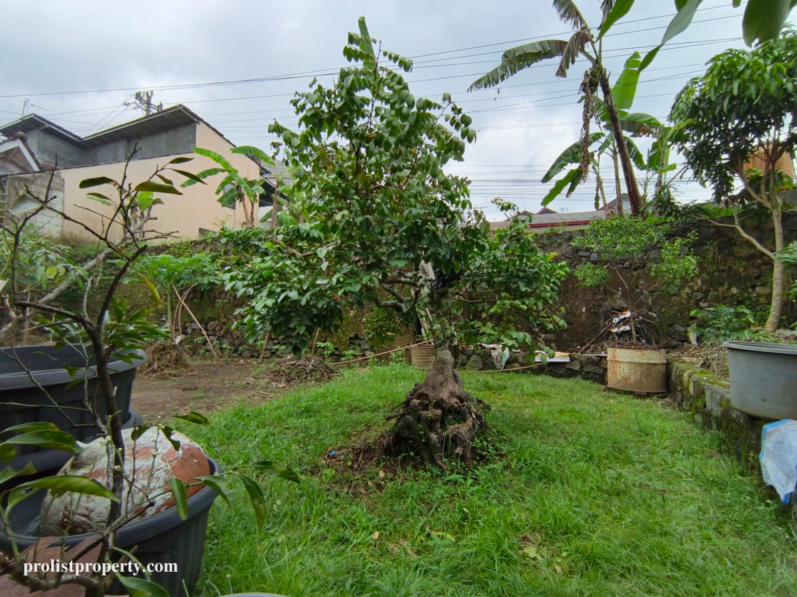 Dijual Tanah Dan Rumah Pinggir Jalan Utama Baturraden 2 Menit Ke Lokawisata - Karangmangu view 10