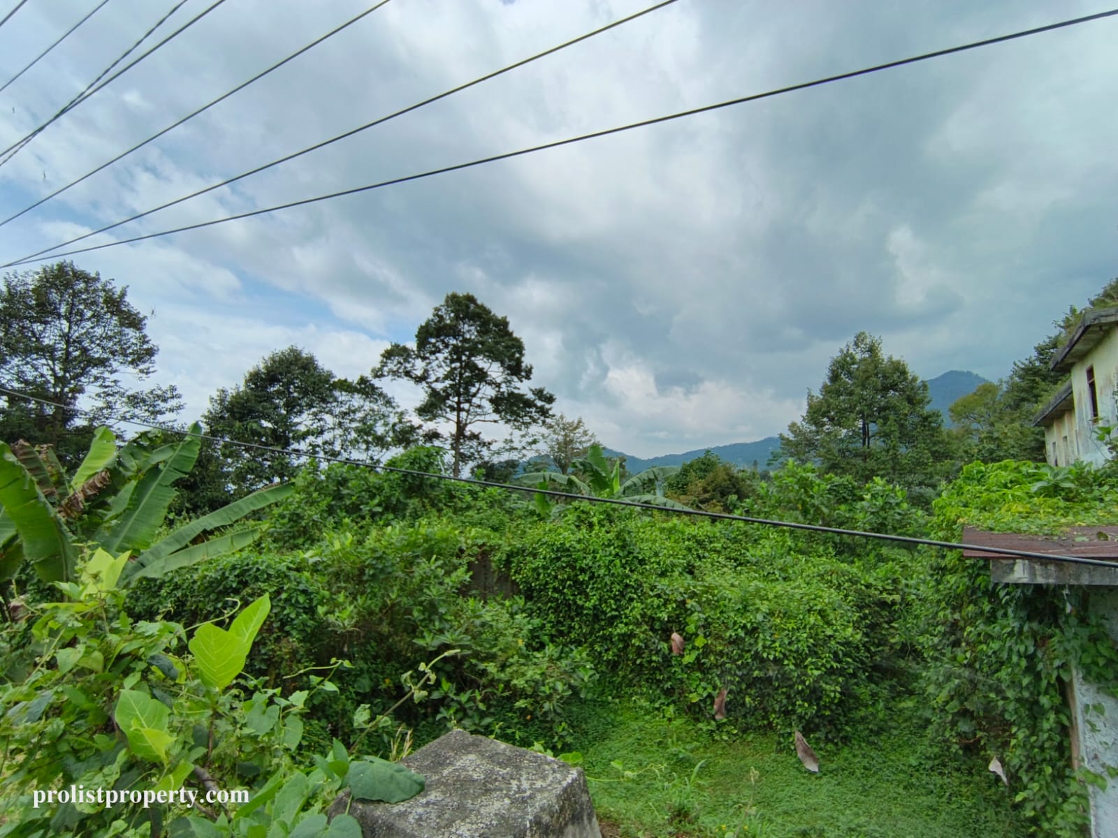 Dijual Tanah Pinggir Jalan Utama Baturraden Selangkah Ke Lokawisata - Karangmangu view 3
