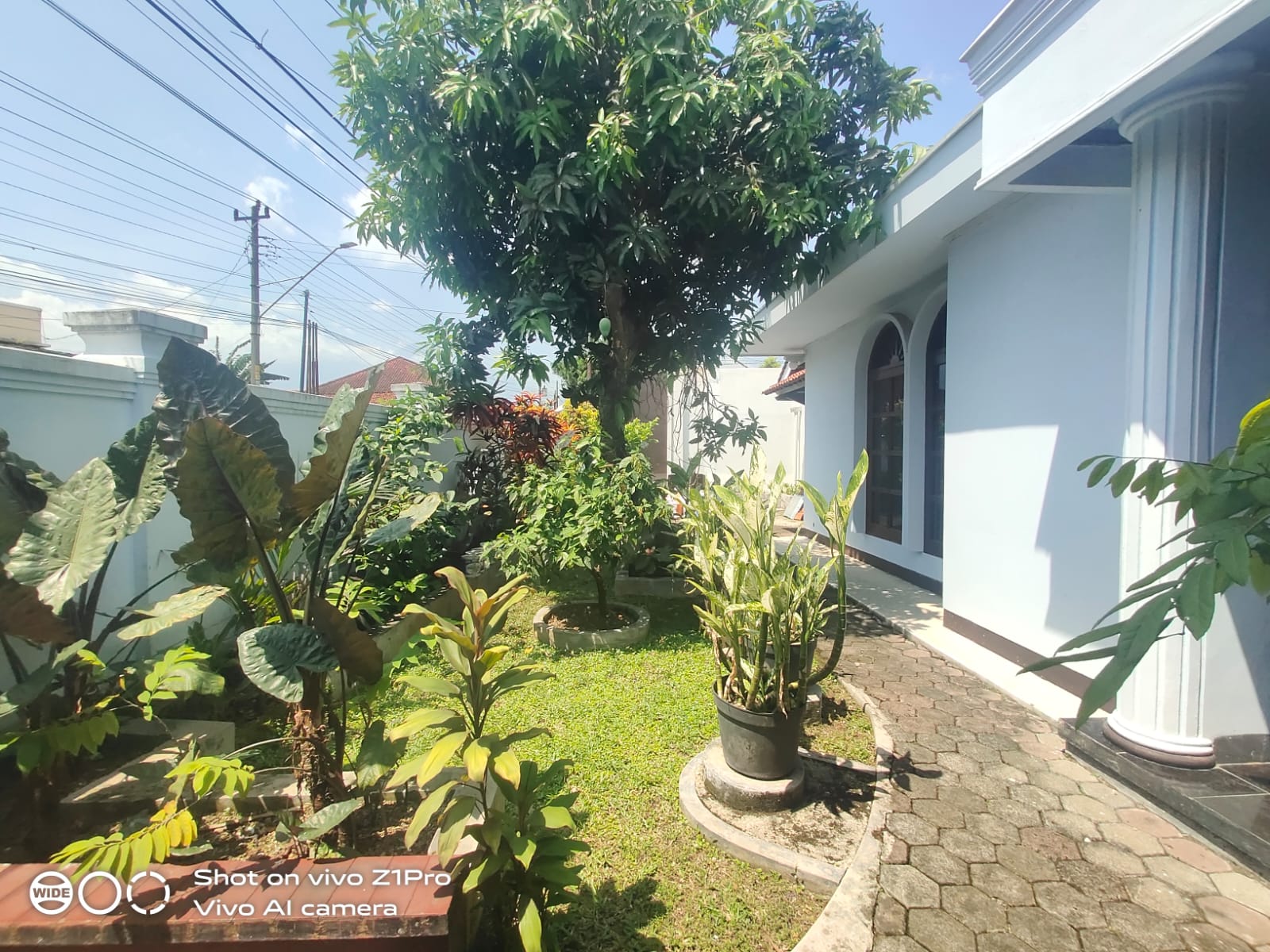 Rumah Klasik Kayu Jati Halaman Luas Dekat Stasiun Purwokerto - Kober view 7