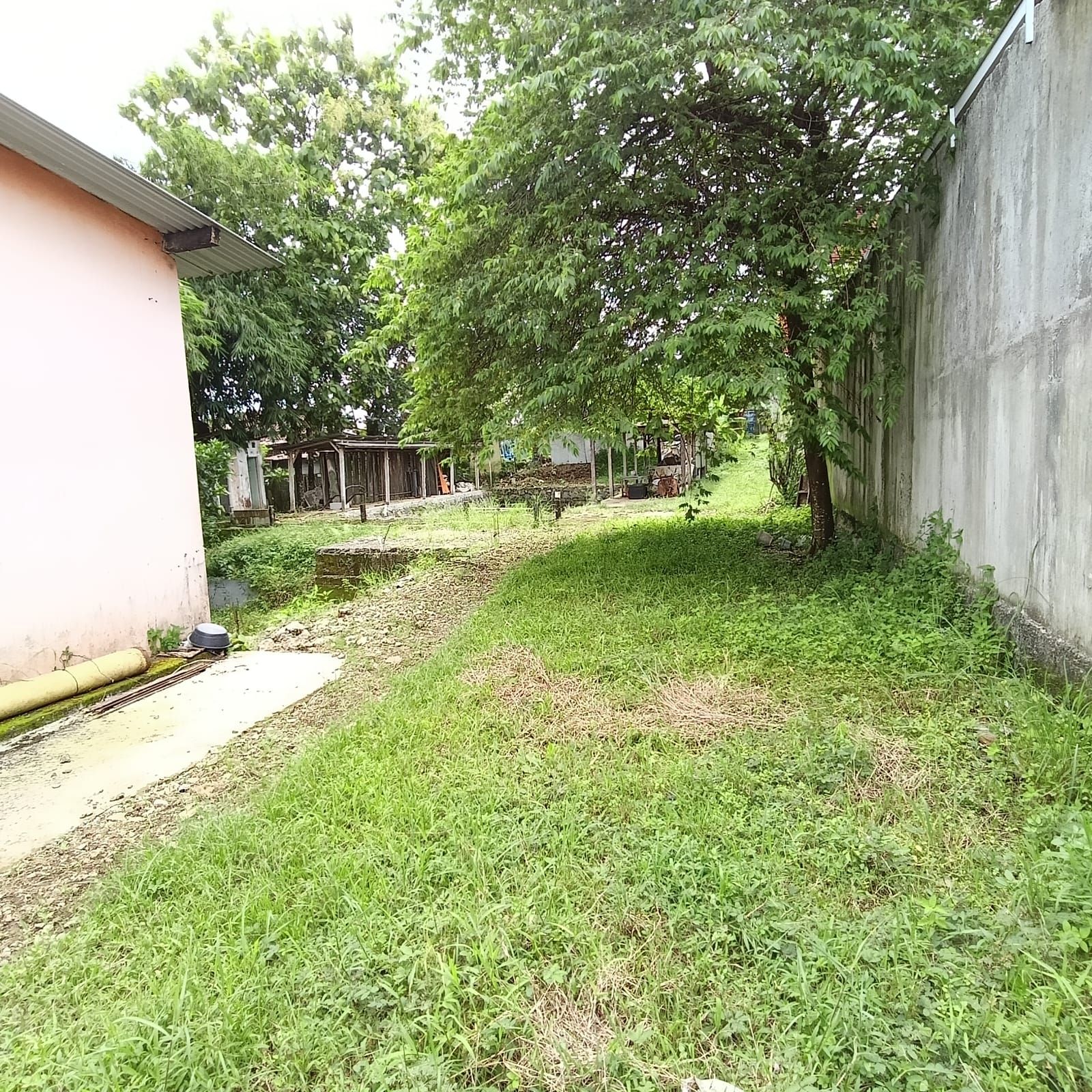 Dijual Tanah Kosong Bonus Bangunan Tepi Jalan Baturraden Barat - Prompong view 3
