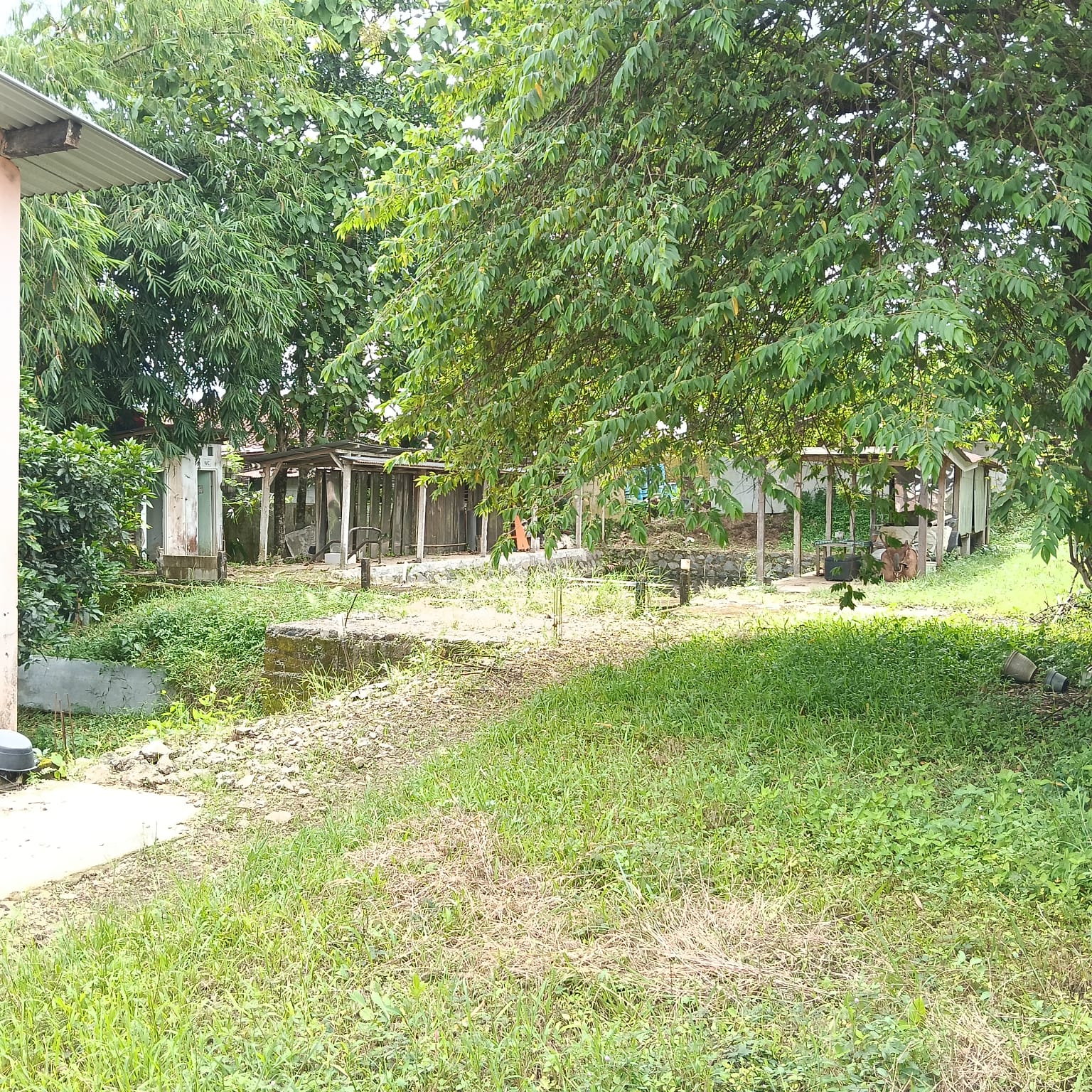 Dijual Tanah Kosong Bonus Bangunan Tepi Jalan Baturraden Barat - Prompong view 4