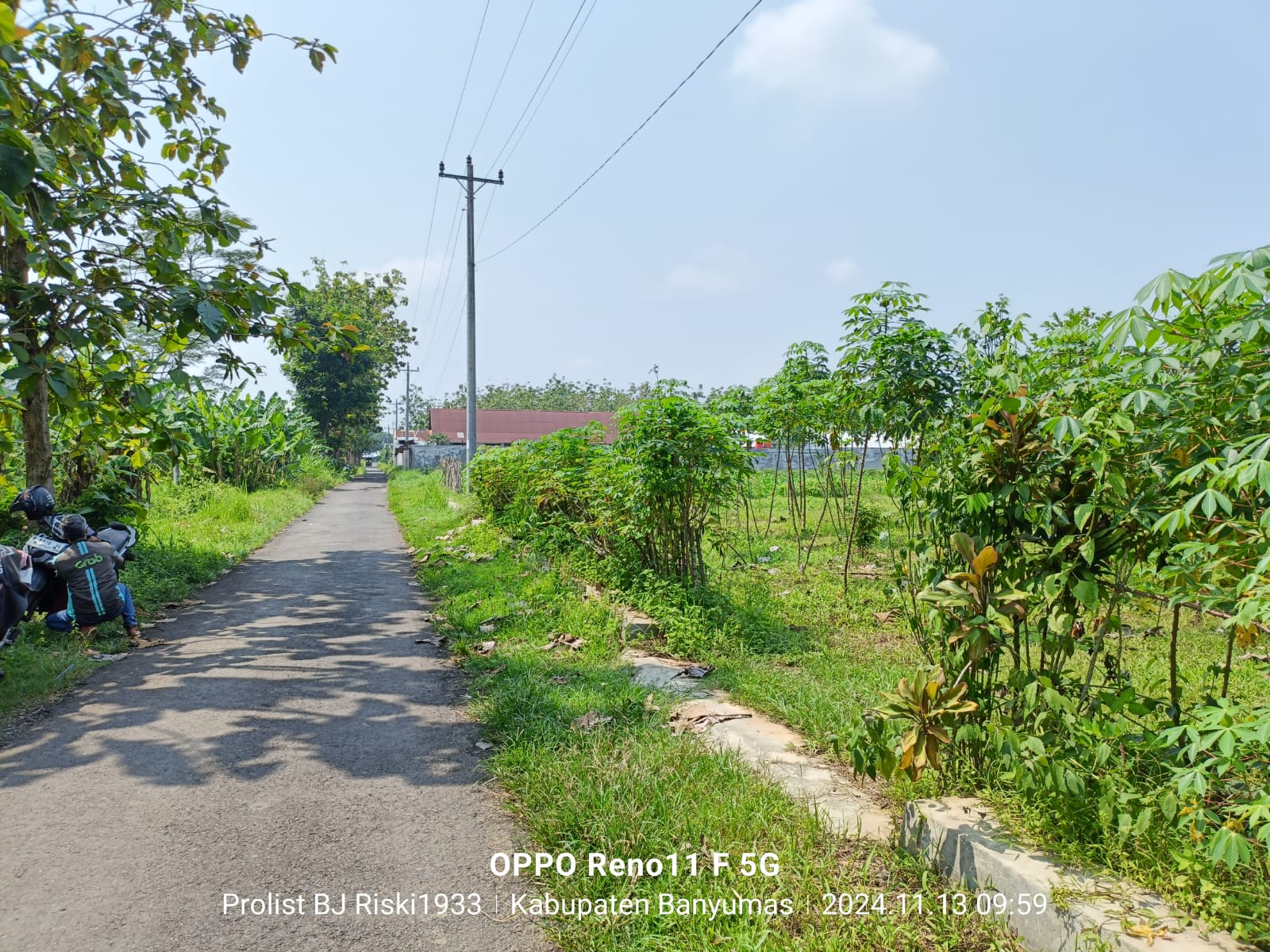 Dijual Tanah Luas Di Purwodadi Kembaran view 1