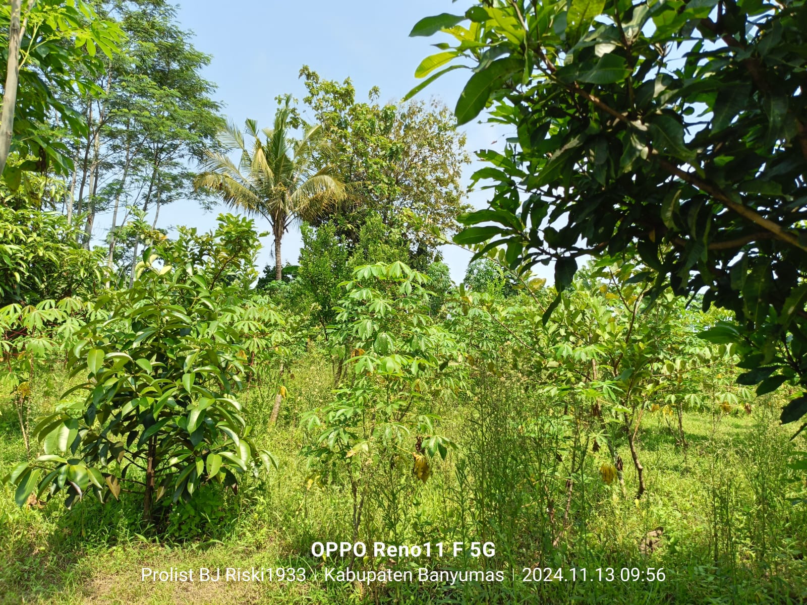 Dijual Tanah Luas Di Purwodadi Kembaran view 3