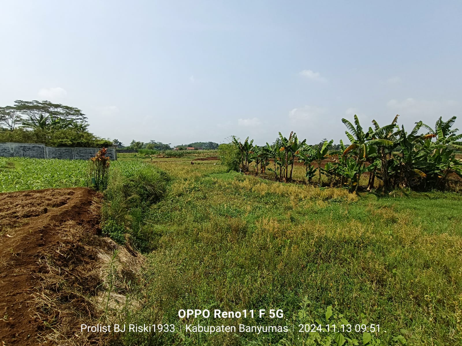  Dijual Tanah Luas Di Purwodadi Kembaran view 5