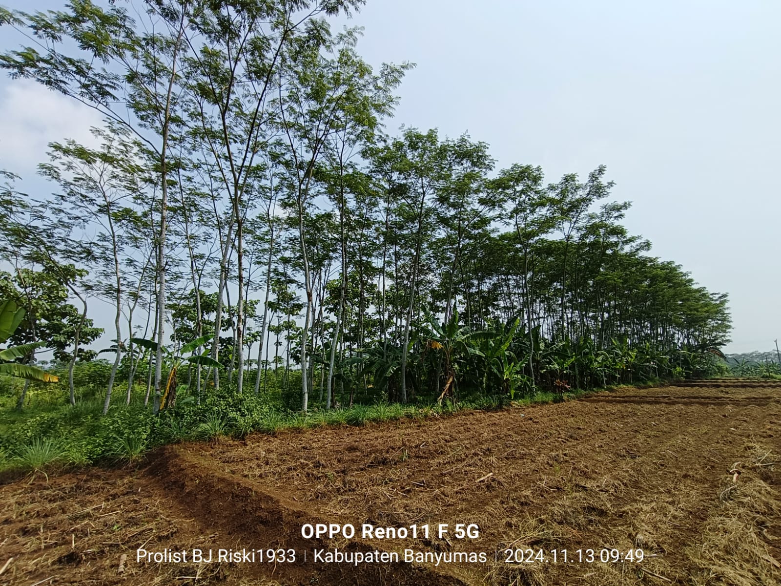  Dijual Tanah Luas Di Purwodadi Kembaran view 8