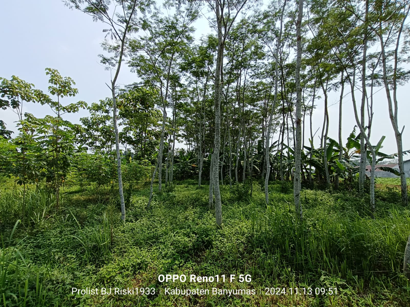 Dijual Tanah Luas Di Purwodadi Kembaran view 9