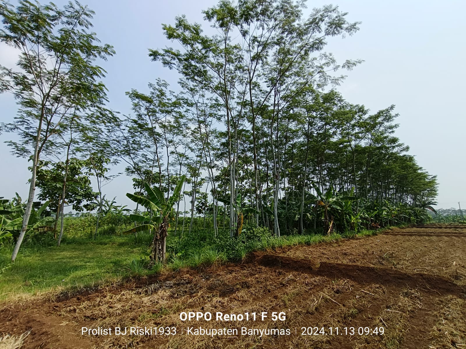  Dijual Tanah Luas Di Purwodadi Kembaran view 10