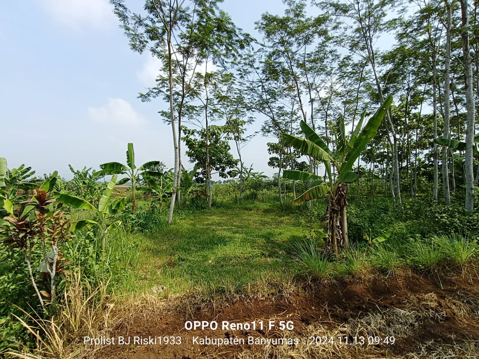  Dijual Tanah Luas Di Purwodadi Kembaran view 11