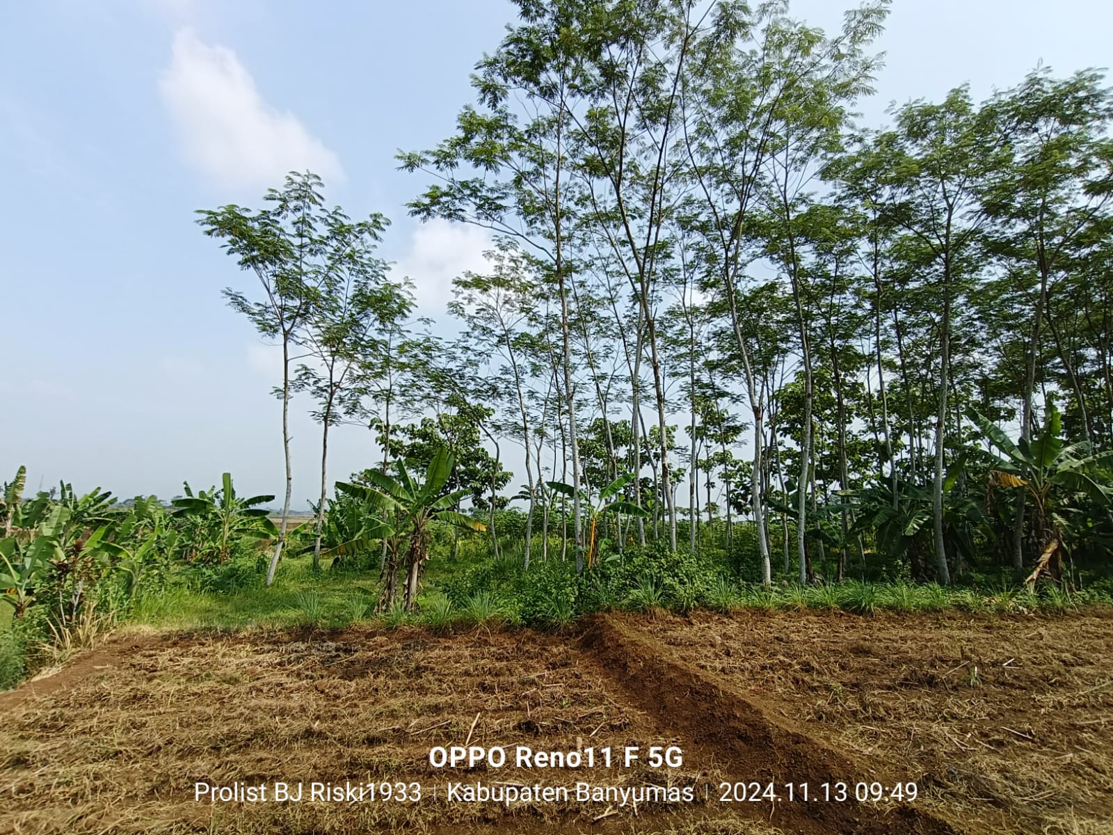 Dijual Tanah Luas Di Purwodadi Kembaran view 12