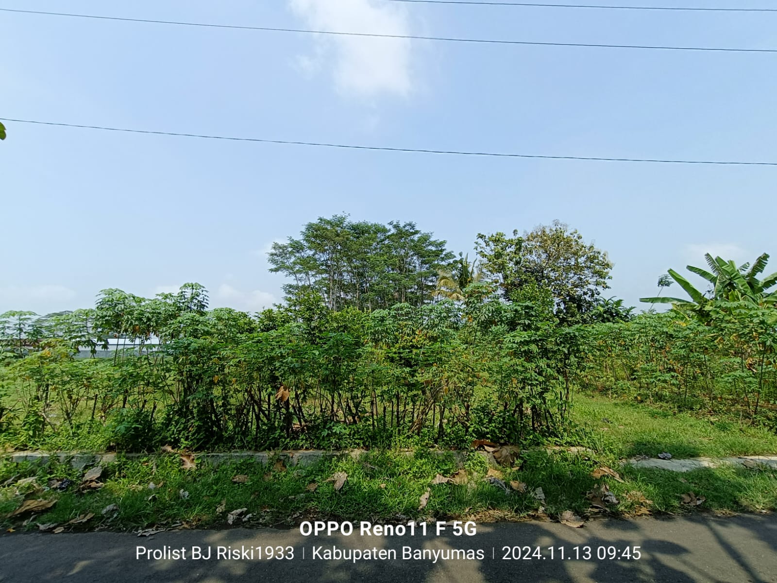  Dijual Tanah Luas Di Purwodadi Kembaran view 13