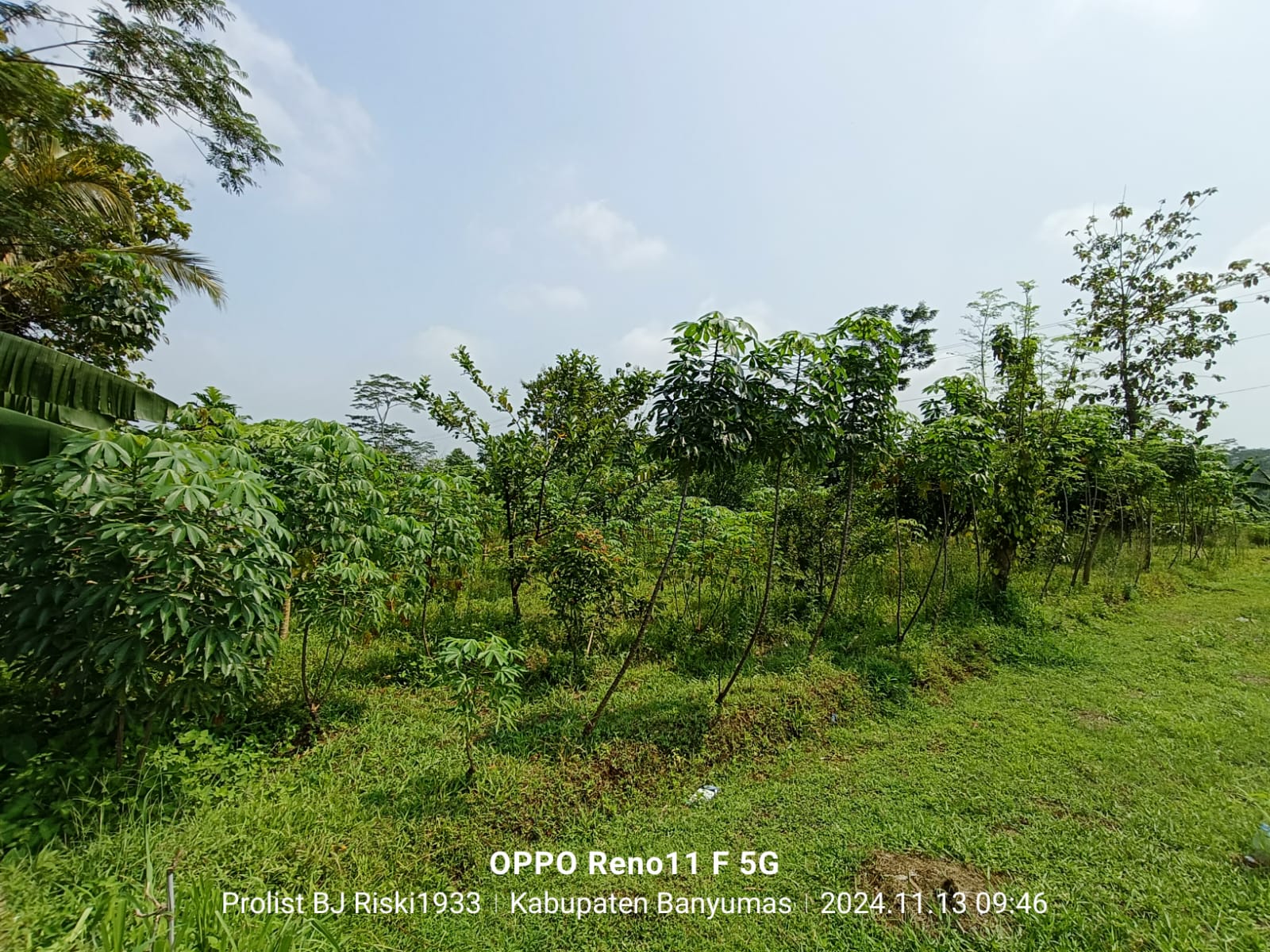 Dijual Tanah Luas Di Purwodadi Kembaran view 15