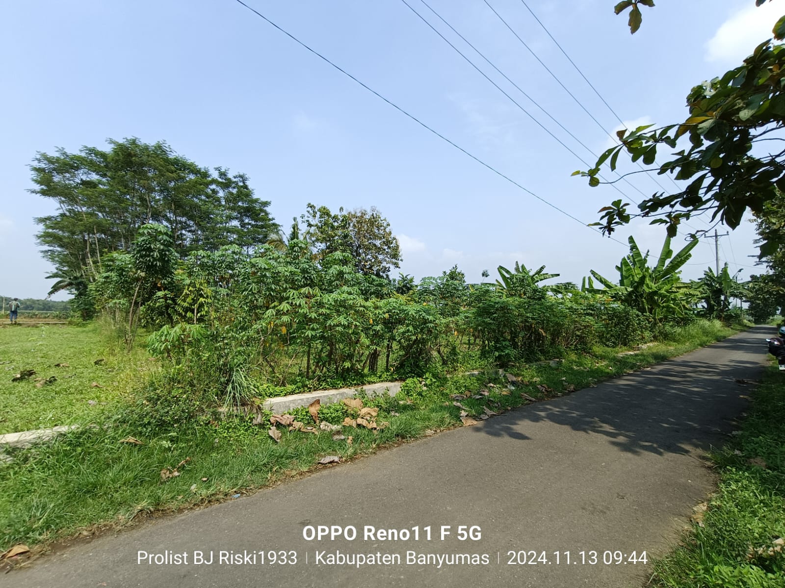 Dijual Tanah Luas Di Purwodadi Kembaran view 16