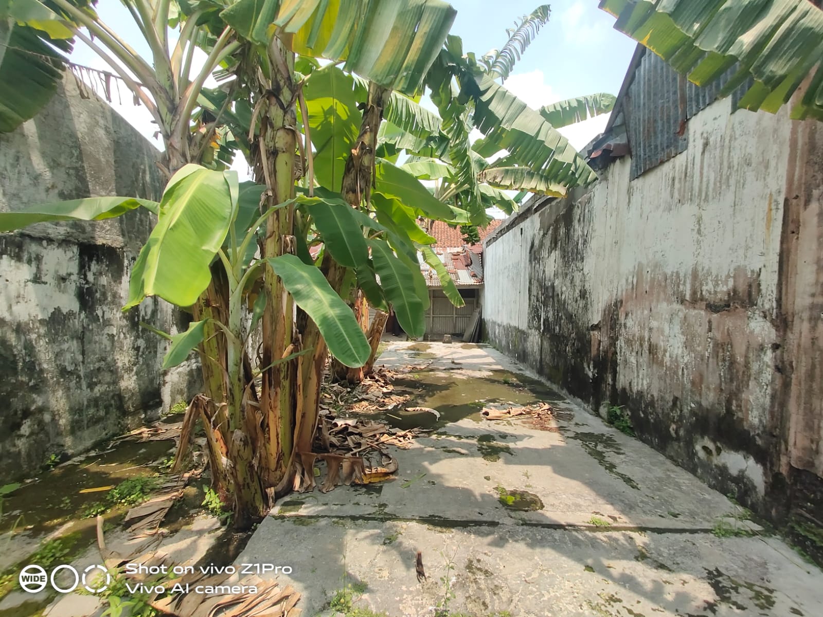 Tanah Bonus Toko  Strategis Jalan Nasional Dekat Stasiun - Pasar Pon  view 4