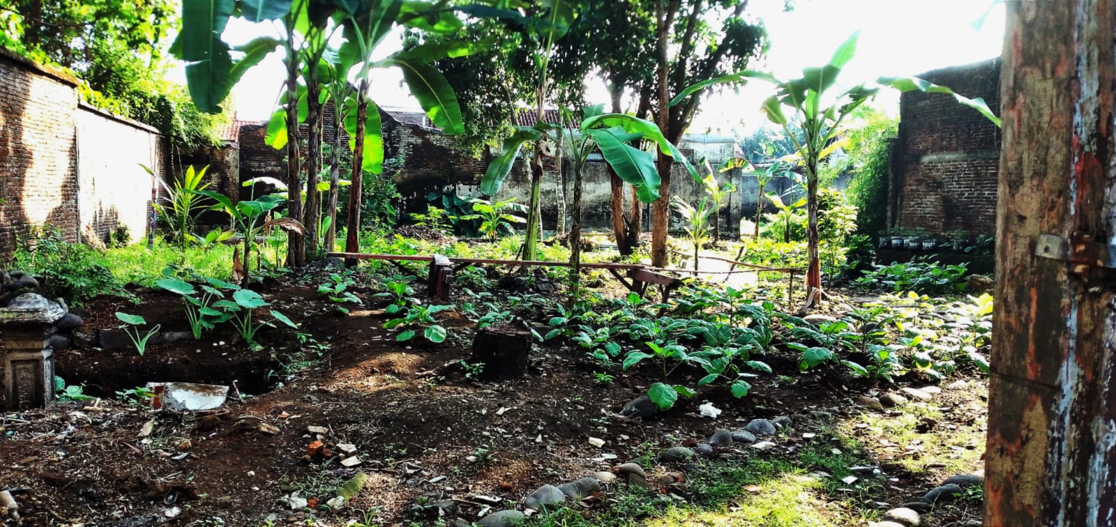 Dijual Tempat Usaha Stategis + Rumah Jalan Utama Sokaraja view 7