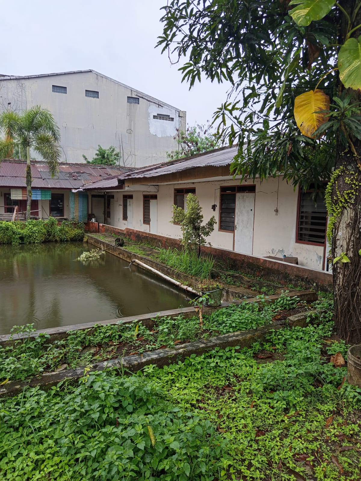 Dijual Rumah Kost 30 Kamar Super Prospektif dekat kampus Unsoed - Sumampir view 2