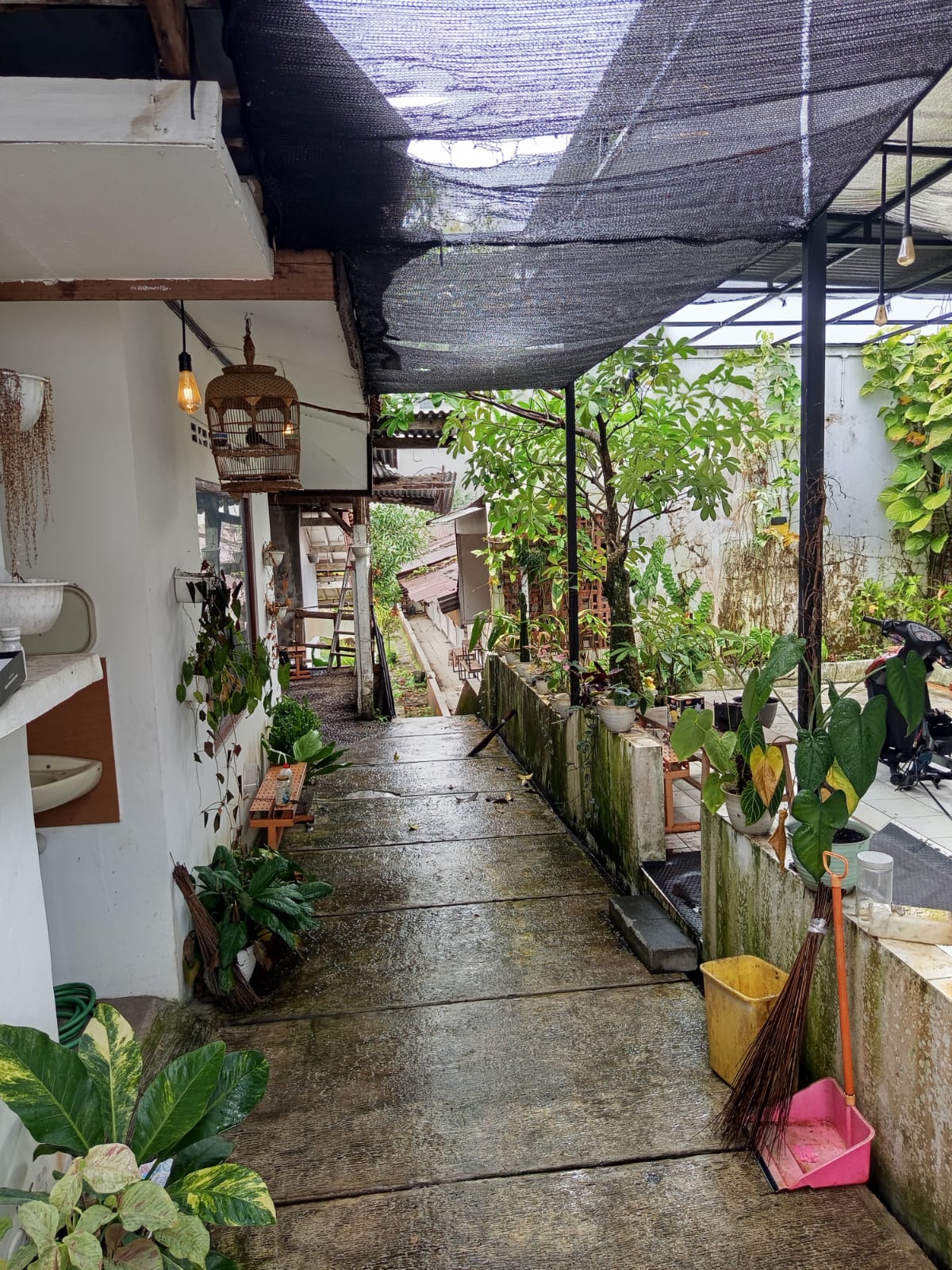 Dijual Rumah Kost 30 Kamar Super Prospektif dekat kampus Unsoed - Sumampir view 4