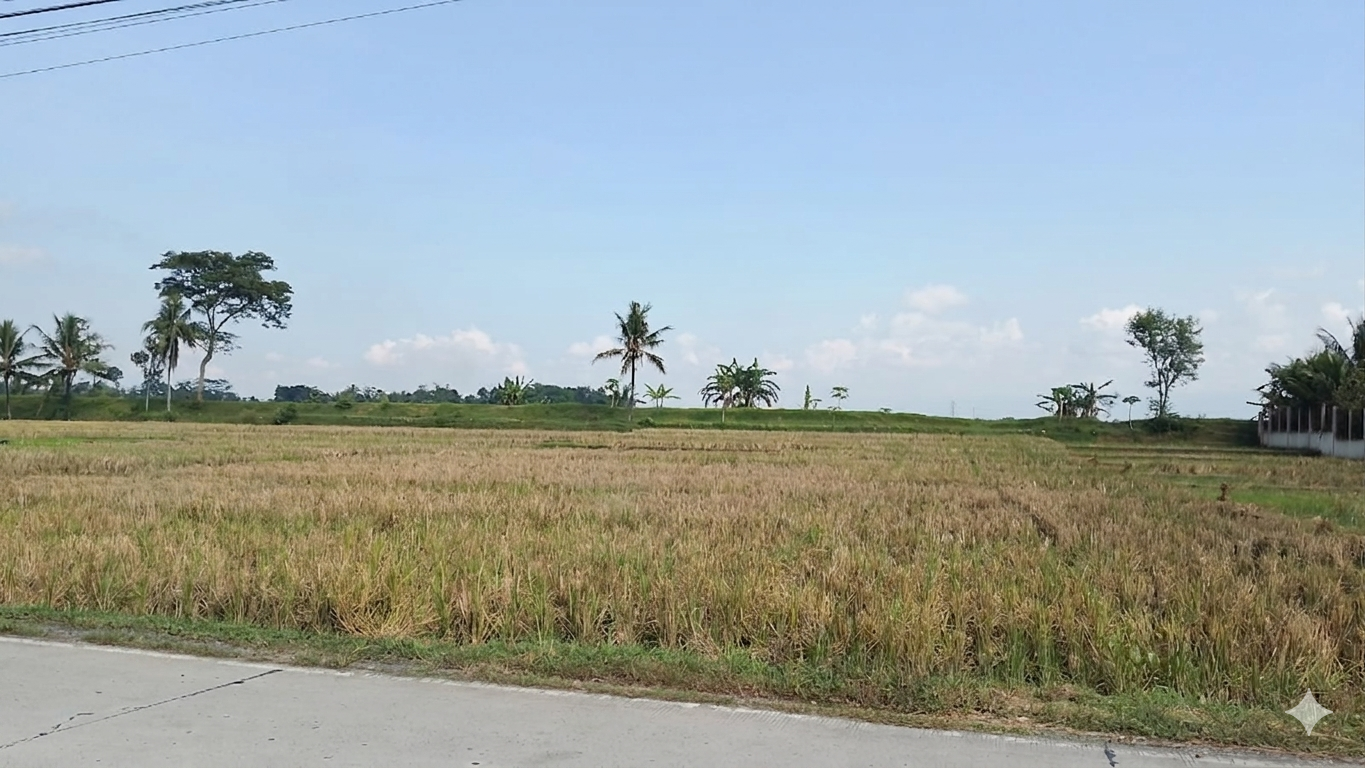 Dijual Sawah Status Kuning Strategis Pinggir Jalan Kemangkon Purbalingga