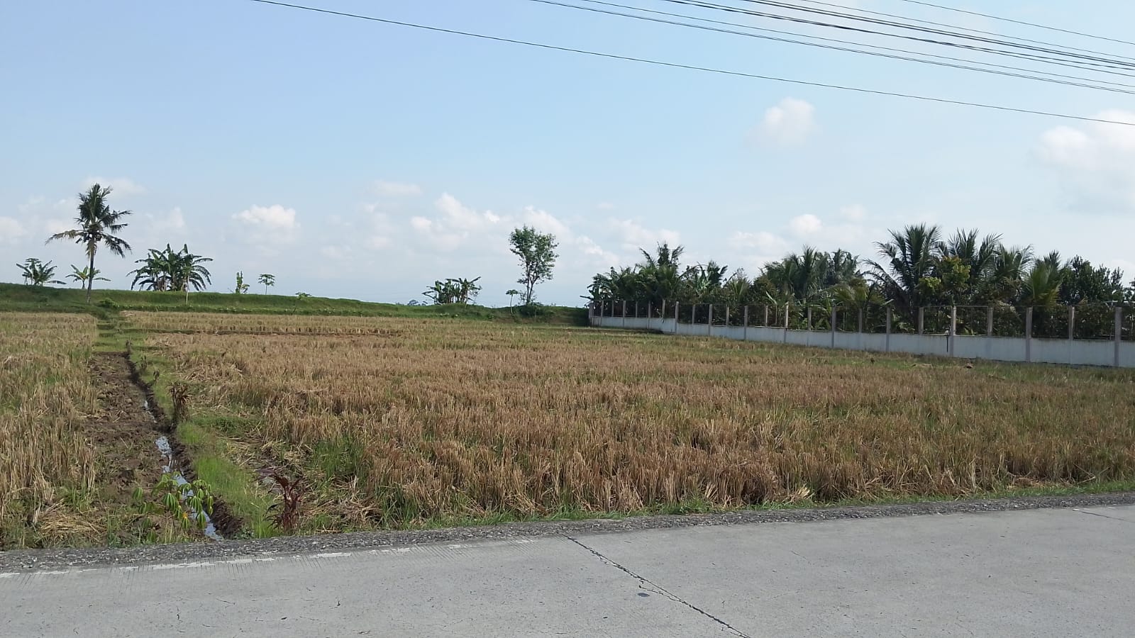 Dijual Sawah Status Kuning Strategis Pinggir Jalan Kemangkon Purbalingga view 2