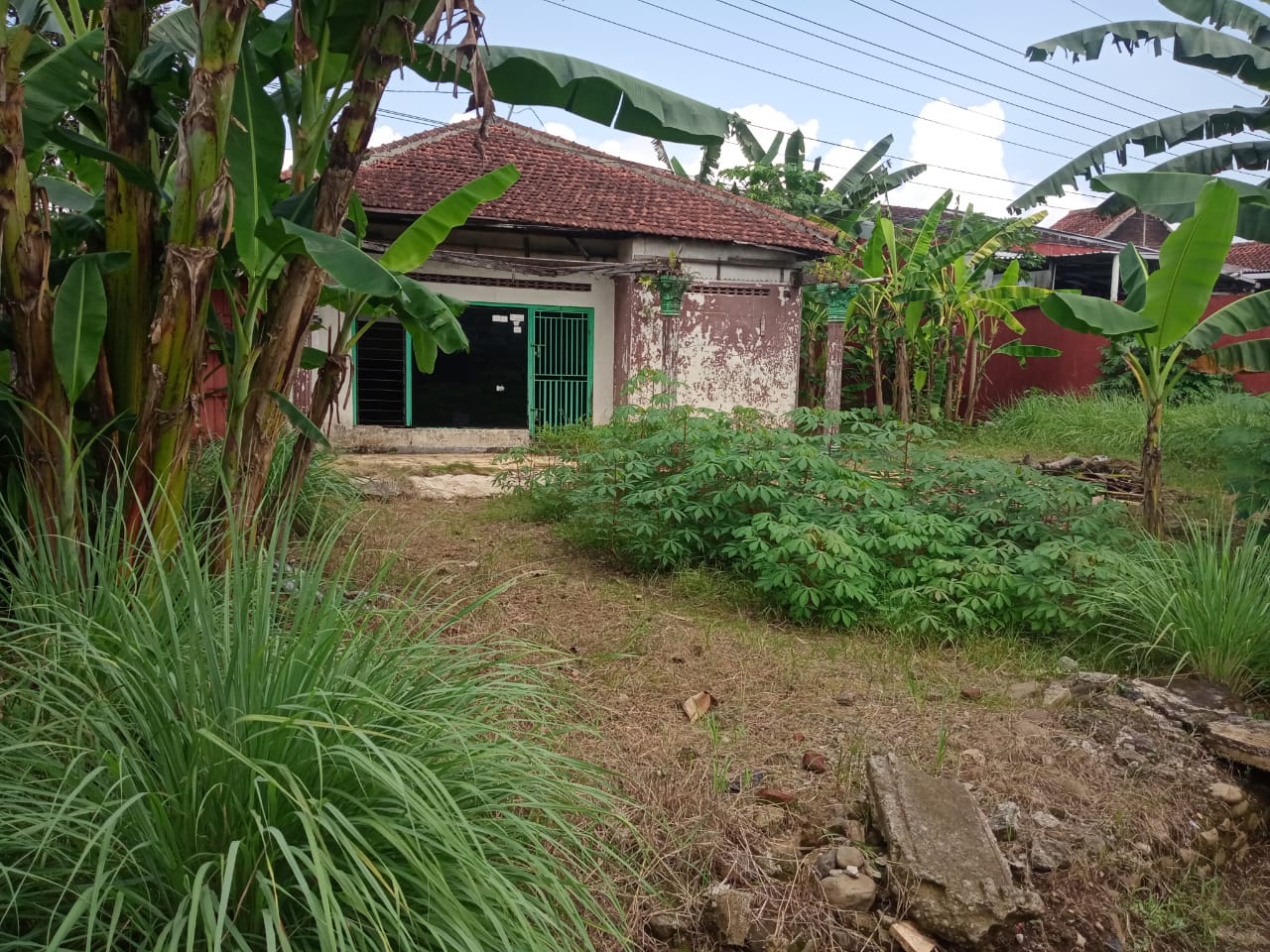 Dijual Tanah Bonus Rumah Dipinggir Jalan - 1 Menit ke Depo Pelita Sokaraja view 4