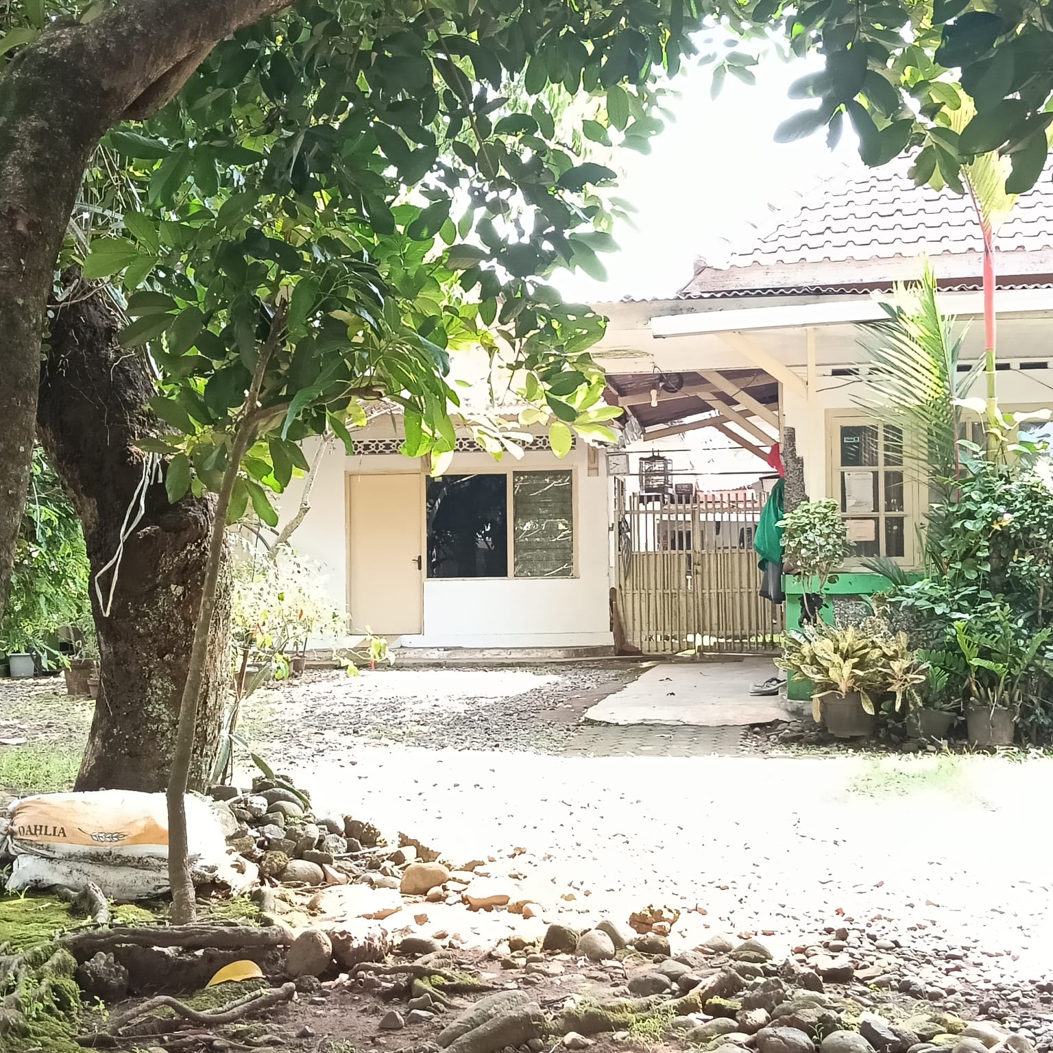 Dijual Rumah bergaya kolonial Belanda bangunan kokoh tengah kota Purwokerto - Geriatri view 4